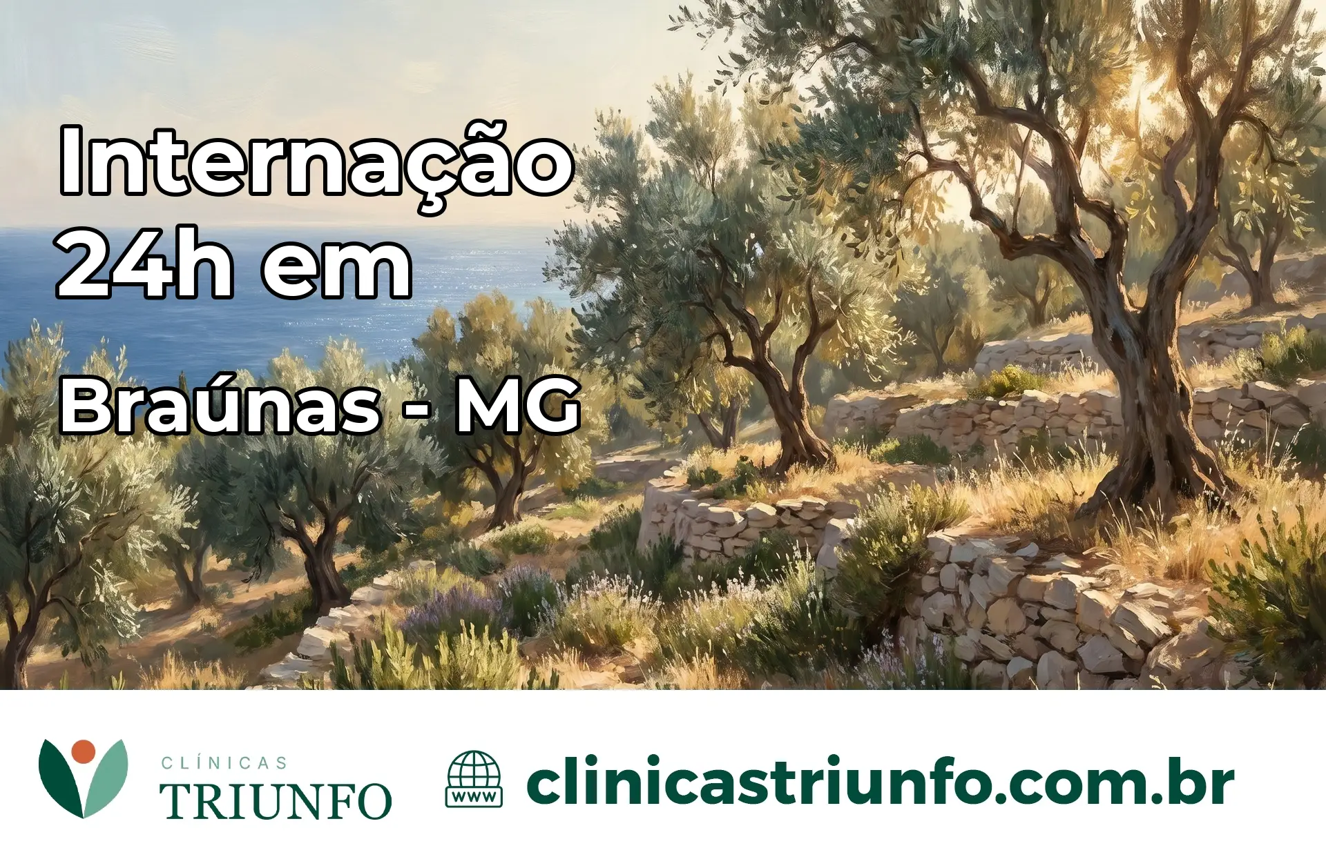 Internação 24 horas em Braúnas – MG