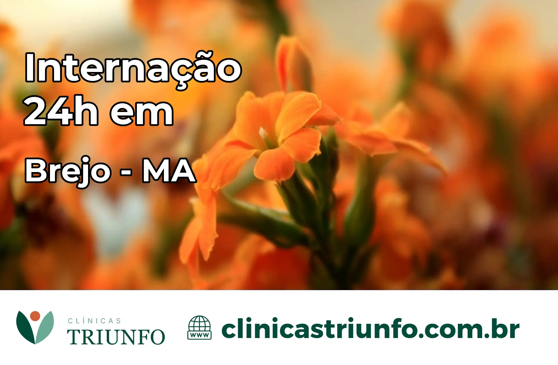 Internação 24 horas em Brejo – MA