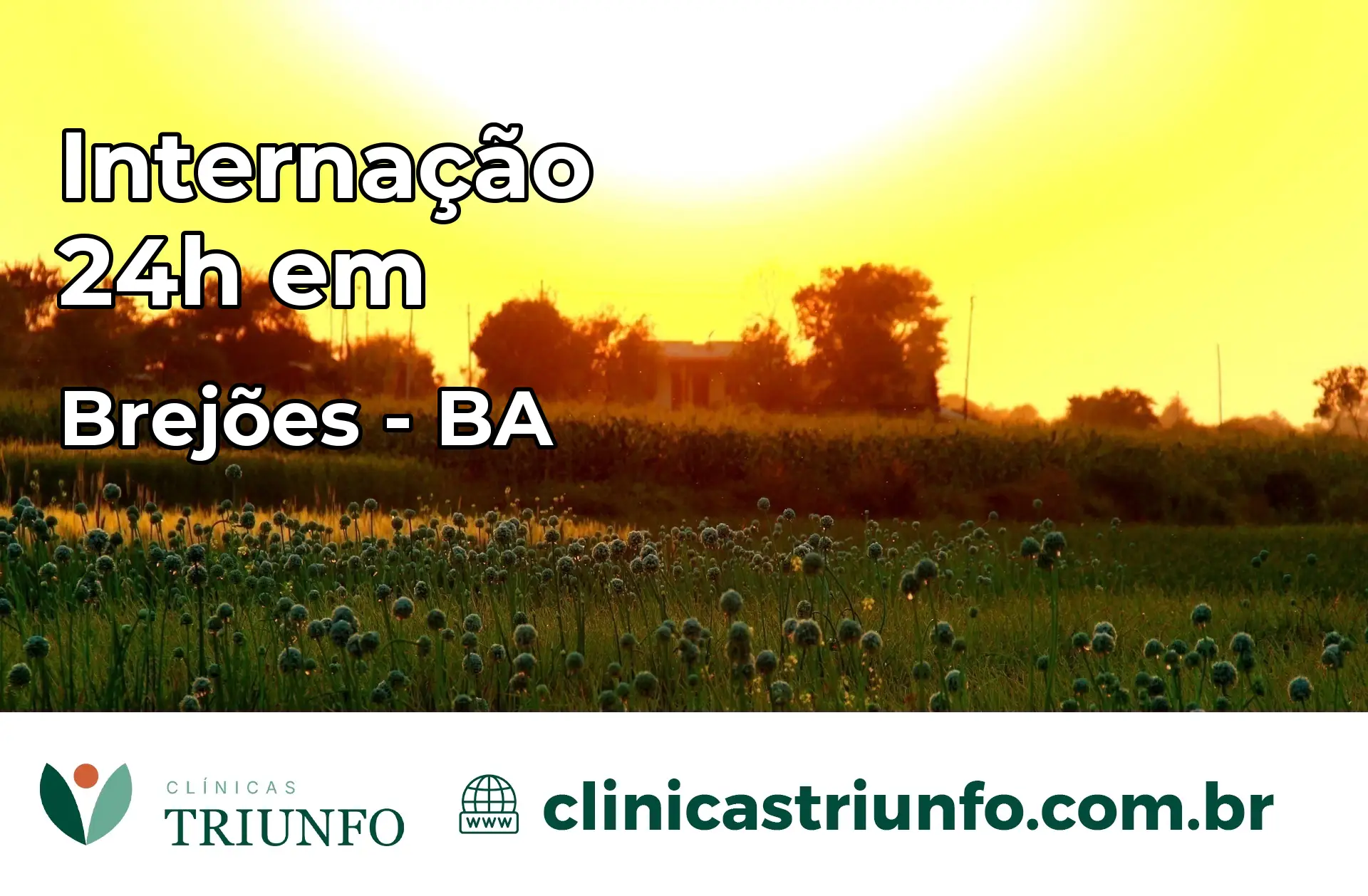 Internação 24 horas em Brejões – BA