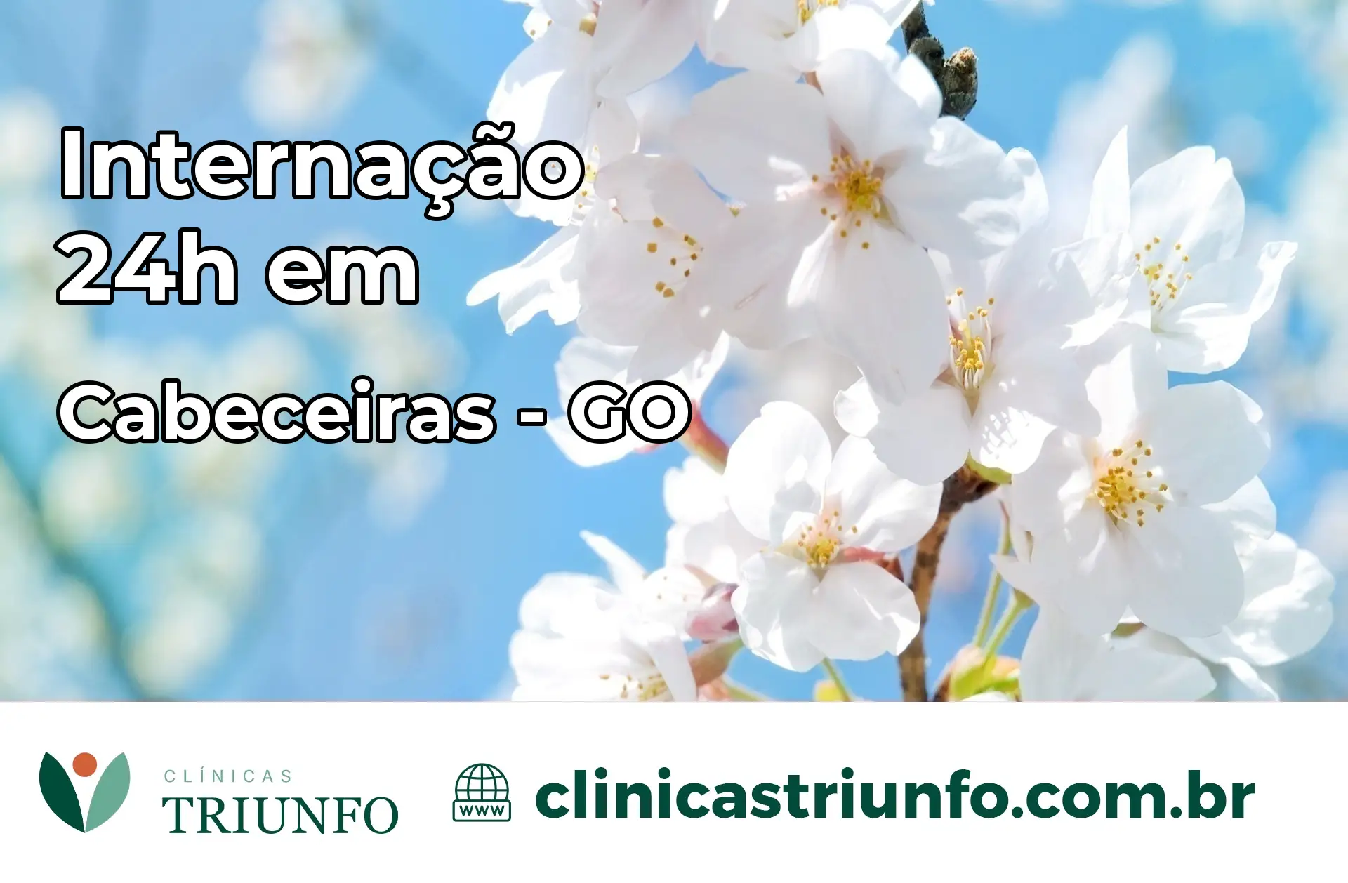 Internação 24 horas em Cabeceiras – GO