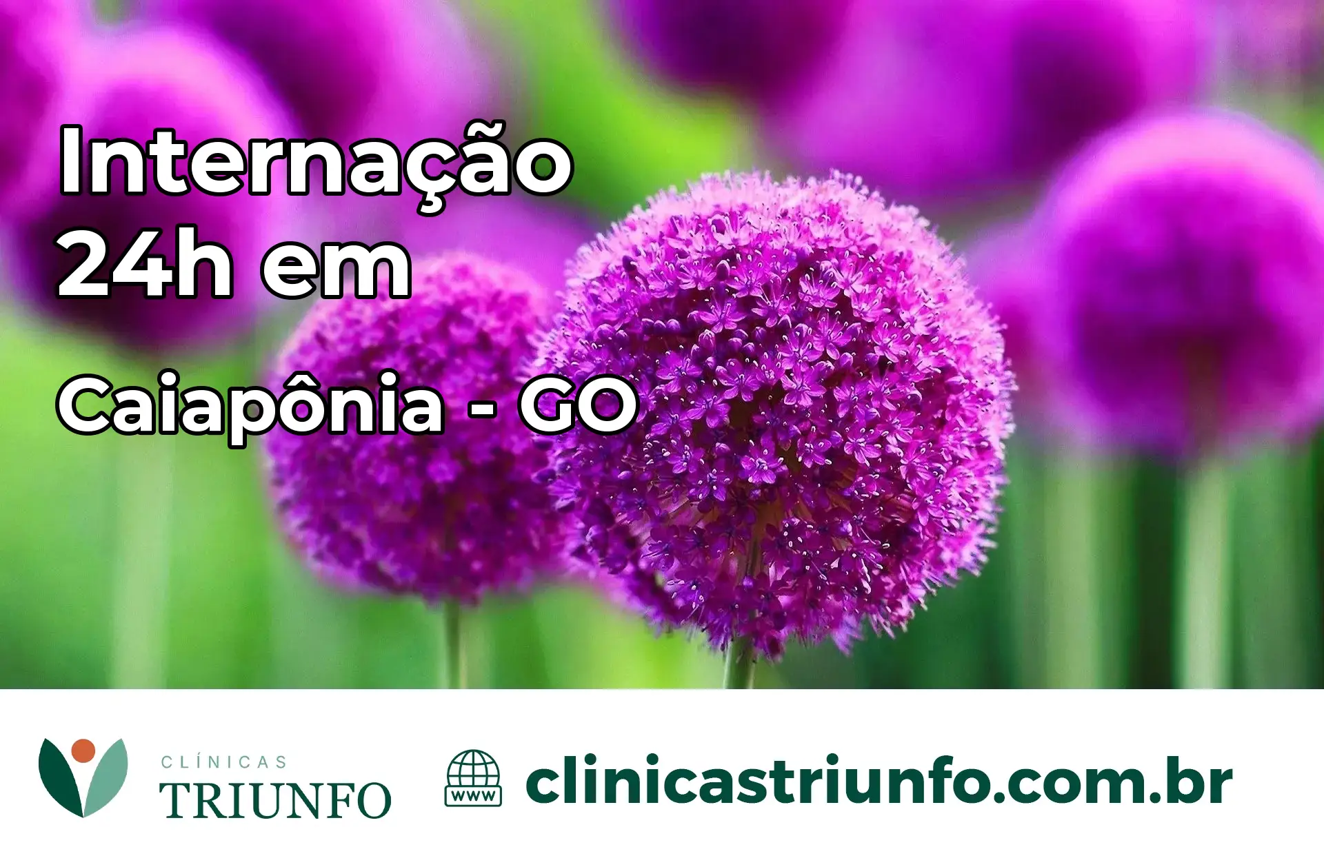 Internação 24 horas em Caiapônia – GO