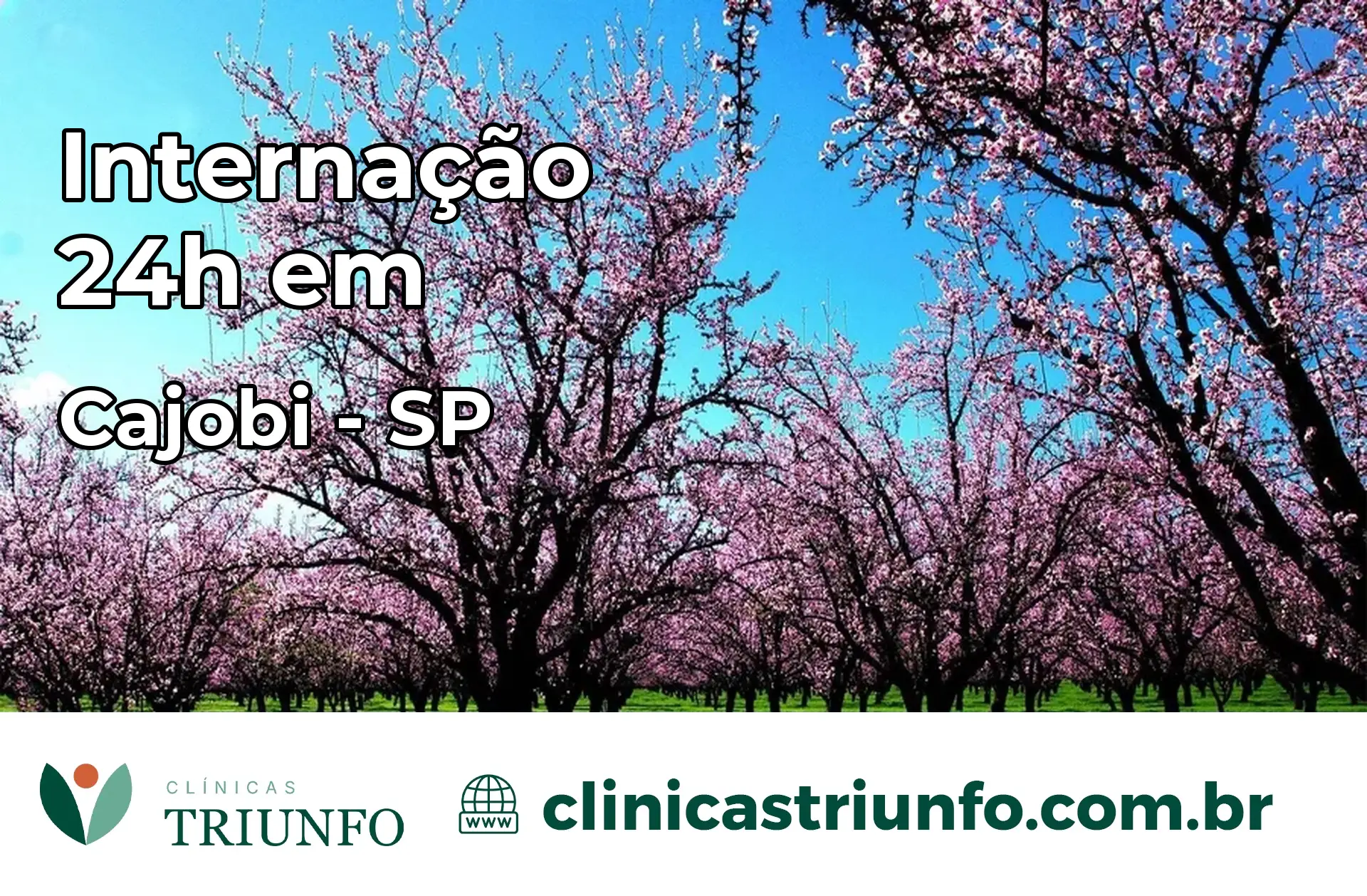 Internação 24 horas em Cajobi – SP