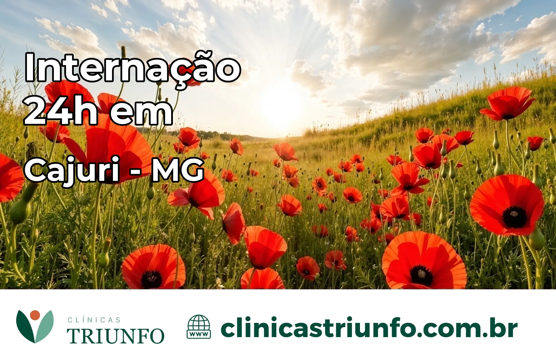Internação 24 horas em Cajuri – MG