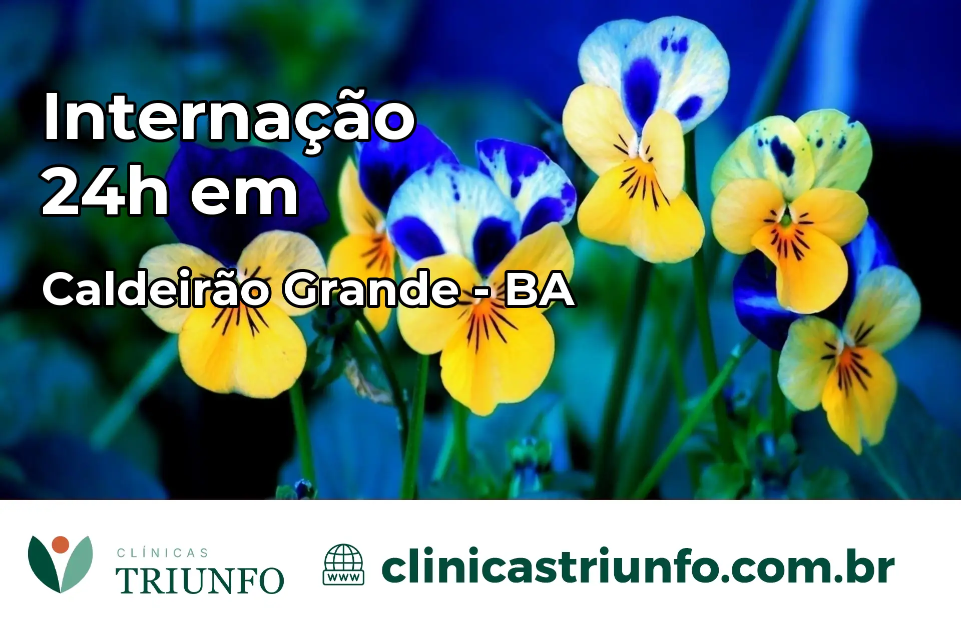 Internação 24 horas em Caldeirão Grande – BA