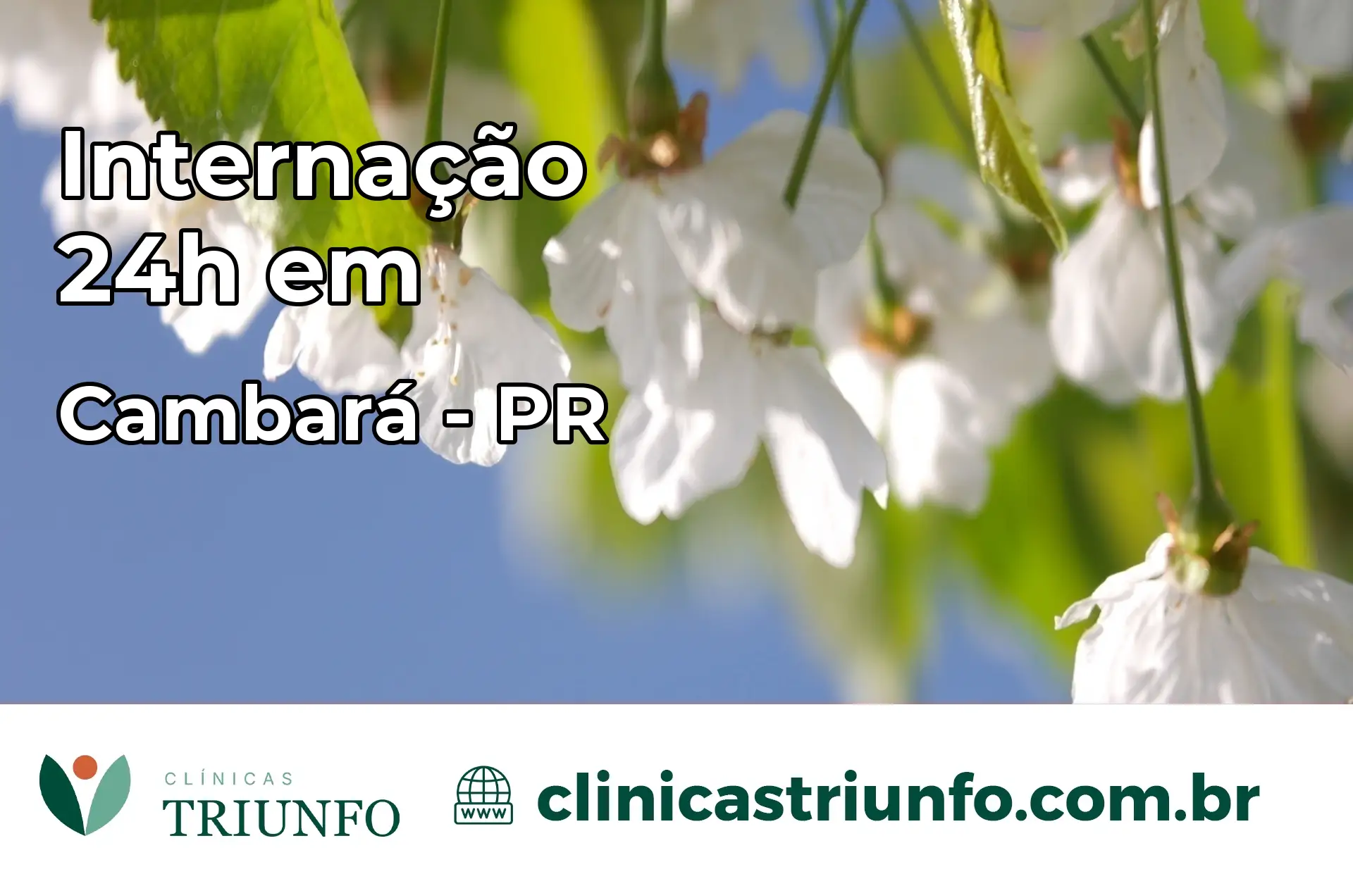 Internação 24 horas em Cambará – PR