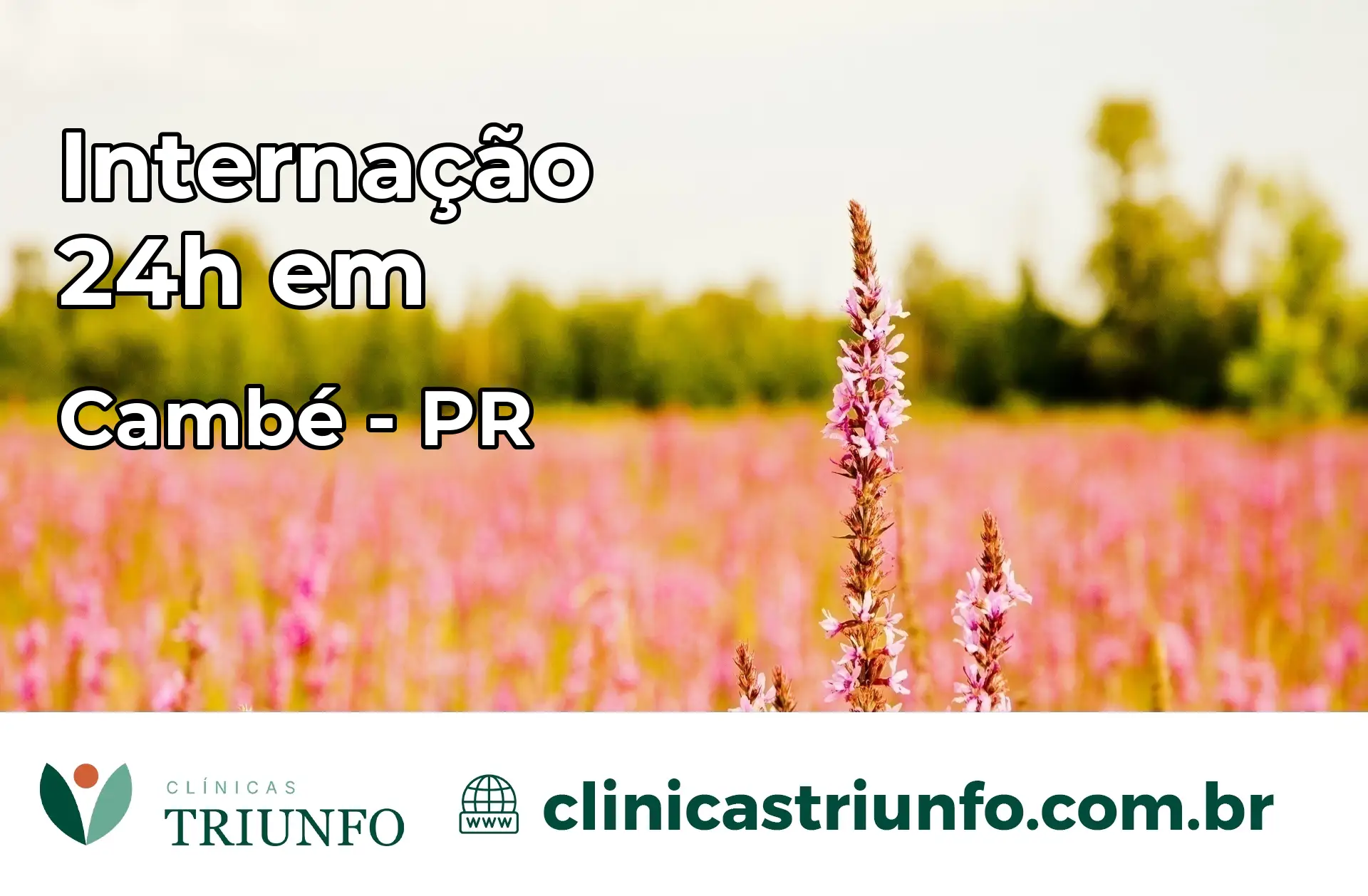 Internação 24 horas em Cambé – PR