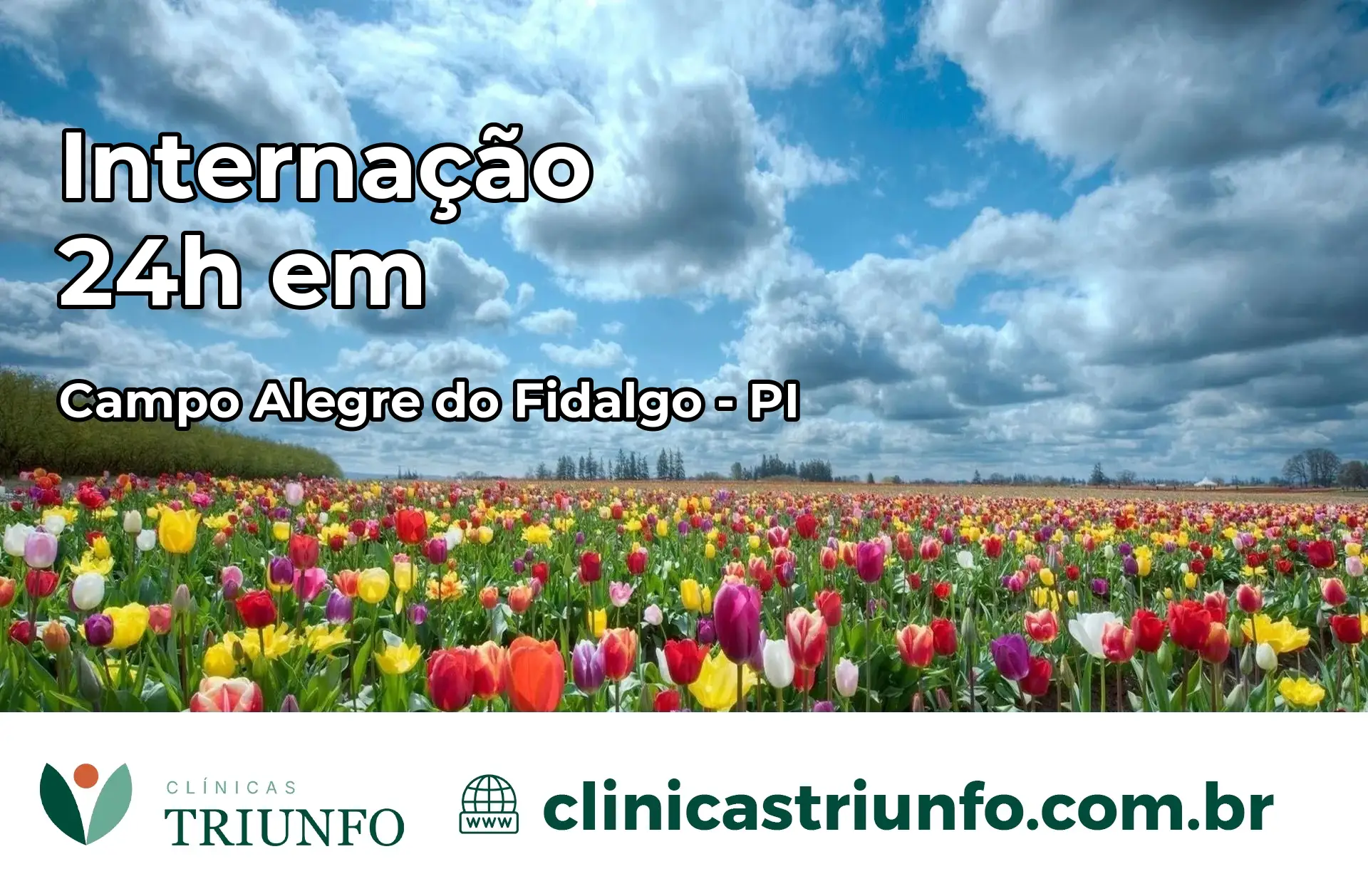 Internação 24 horas em Campo Alegre do Fidalgo – PI