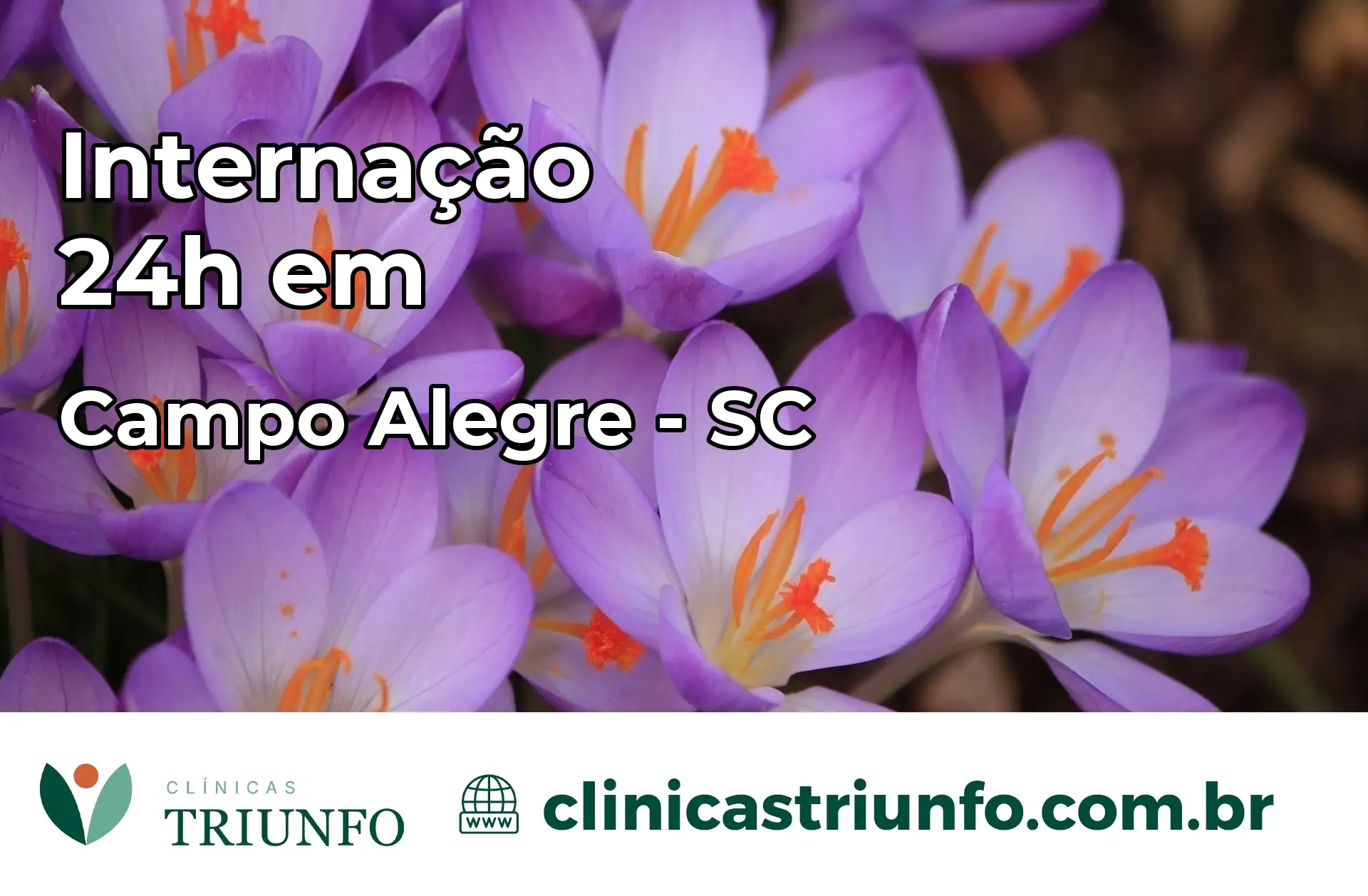 Internação 24 horas em Campo Alegre – SC