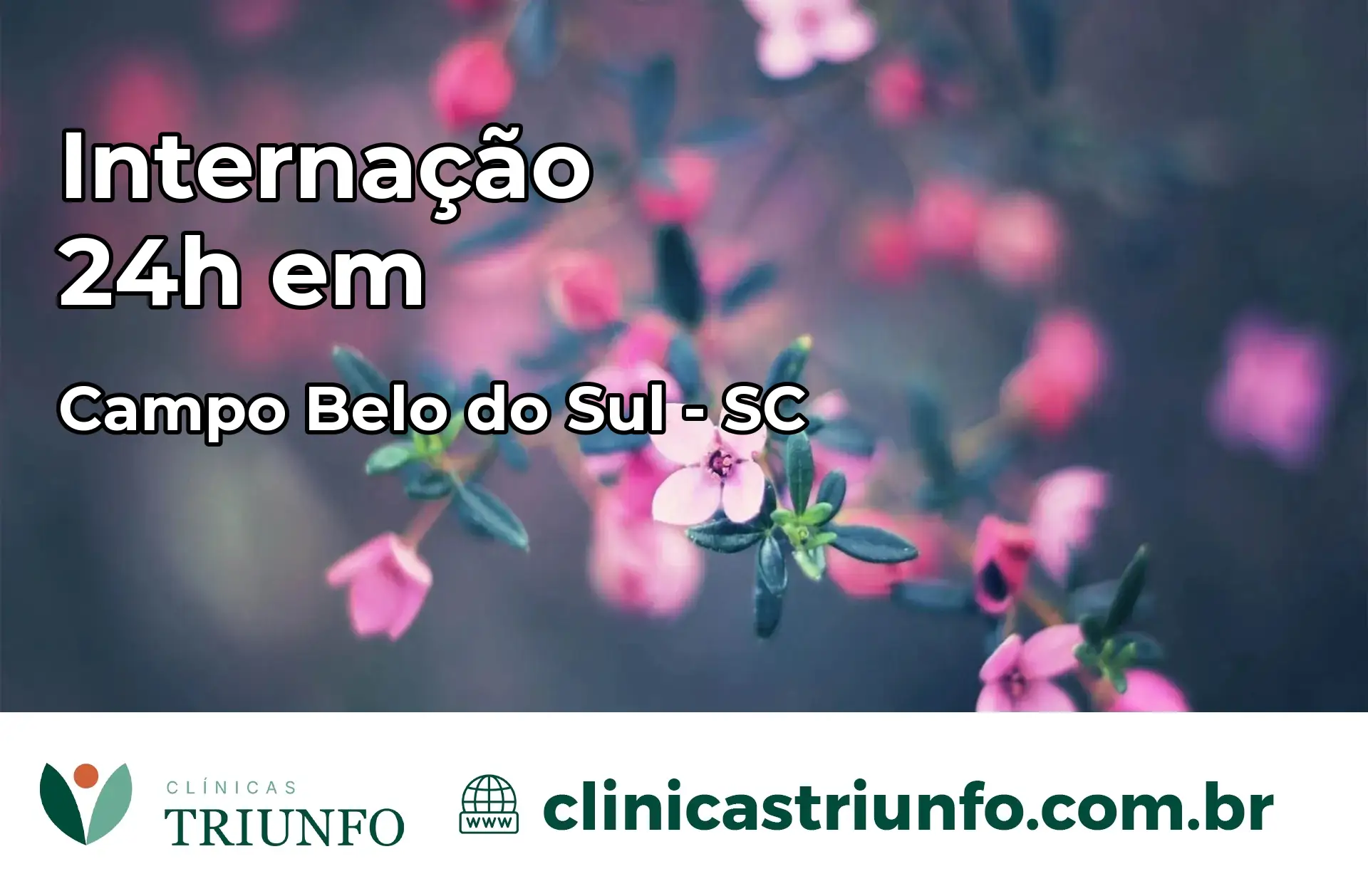 Internação 24 horas em Campo Belo do Sul – SC