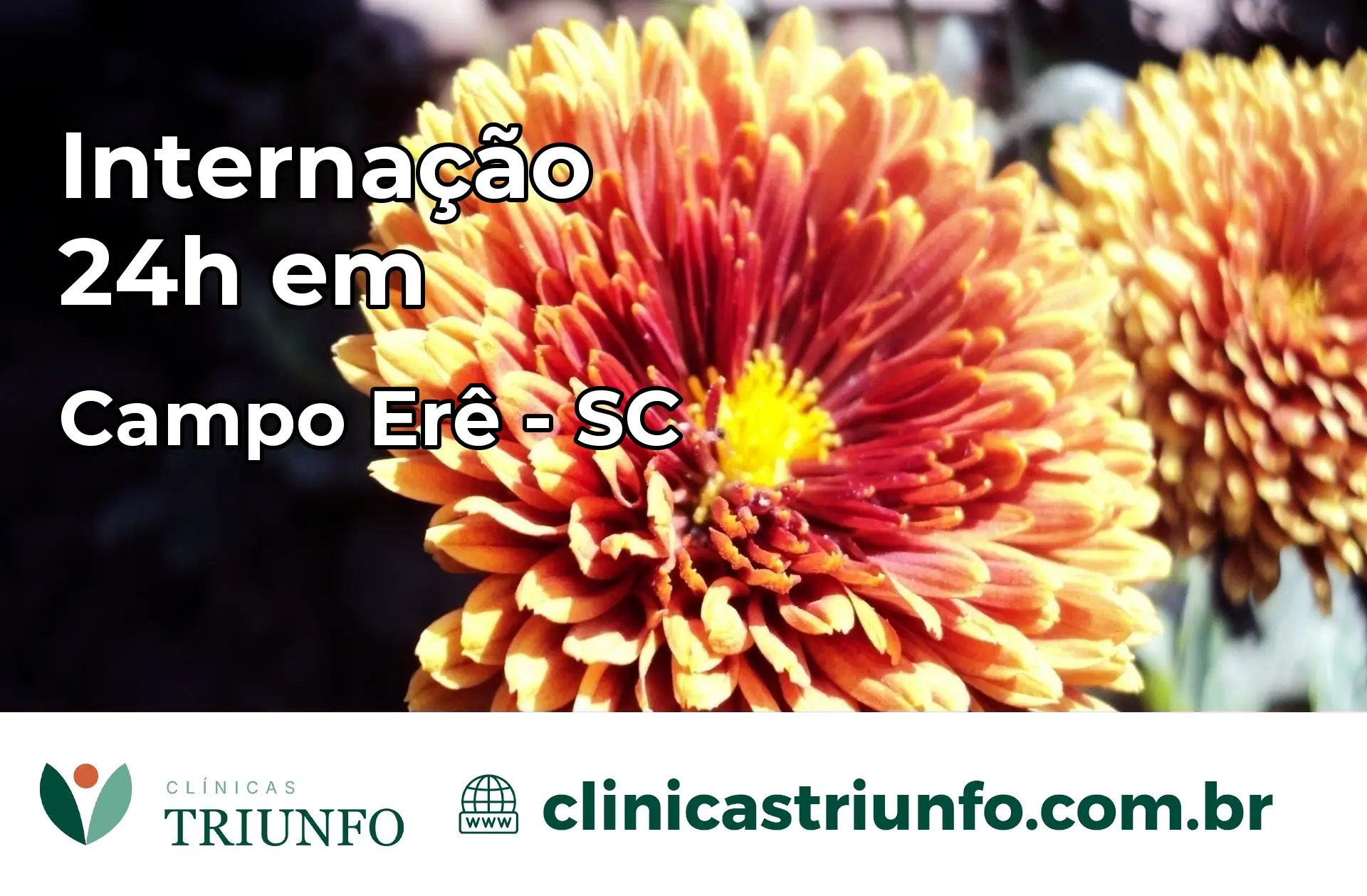 Internação 24 horas em Campo Erê – SC