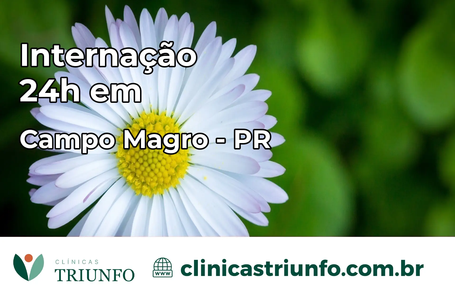 Internação 24 horas em Campo Magro – PR