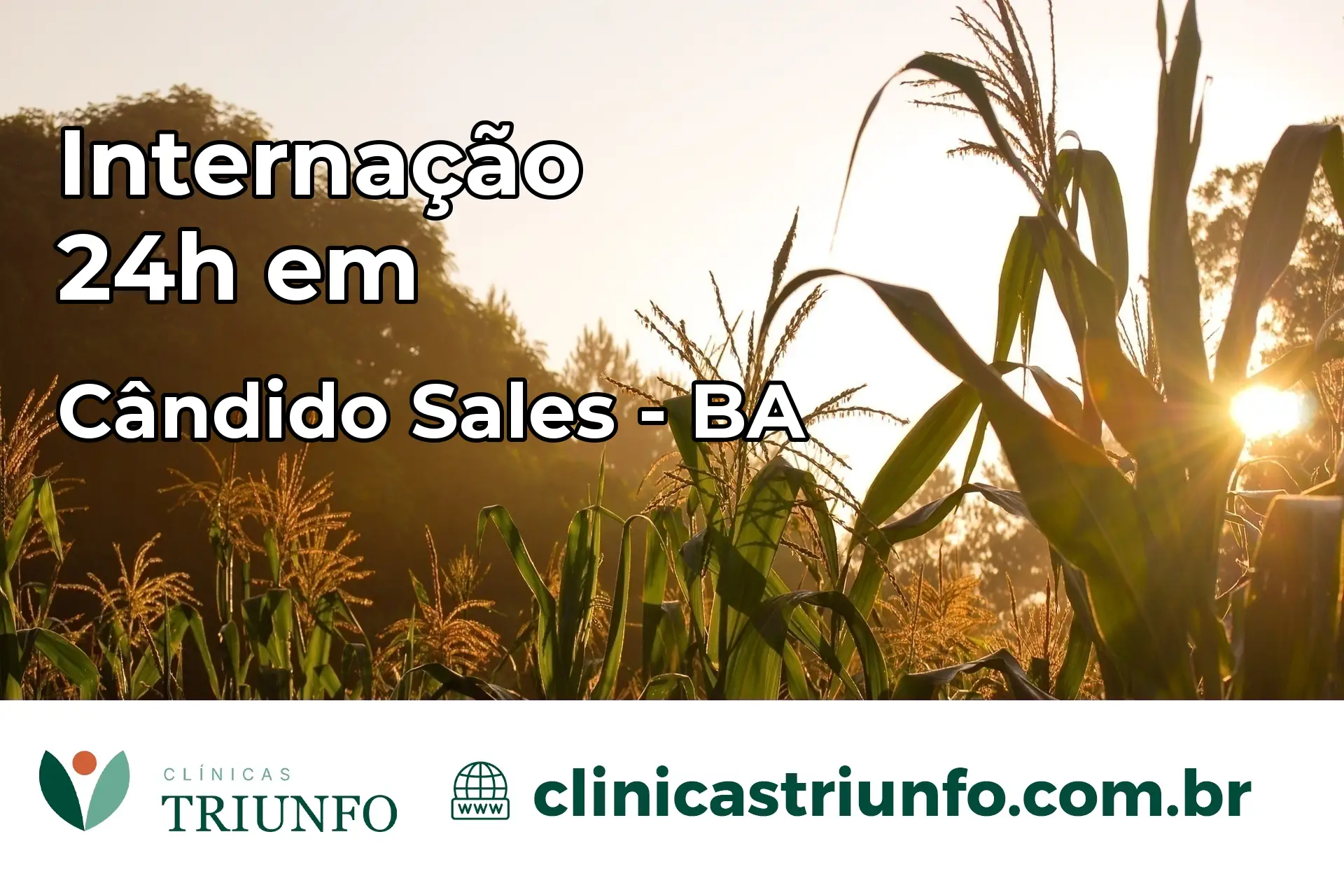 Internação 24 horas em Cândido Sales – BA
