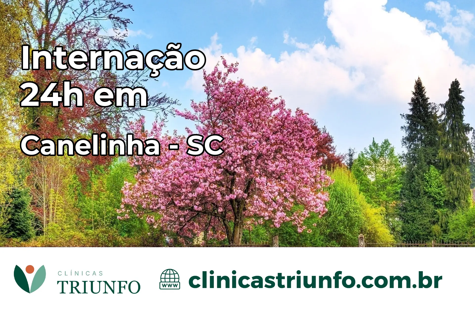 Internação 24 horas em Canelinha – SC