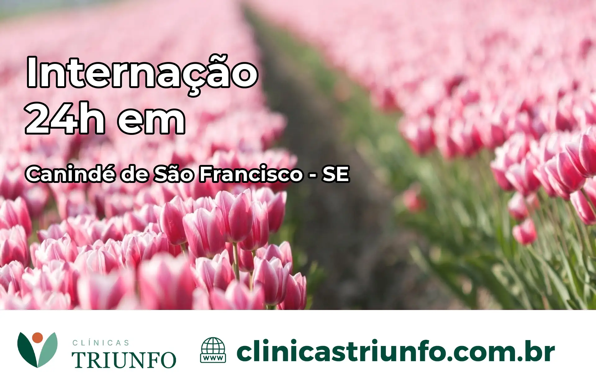 Internação 24 horas em Canindé de São Francisco – SE