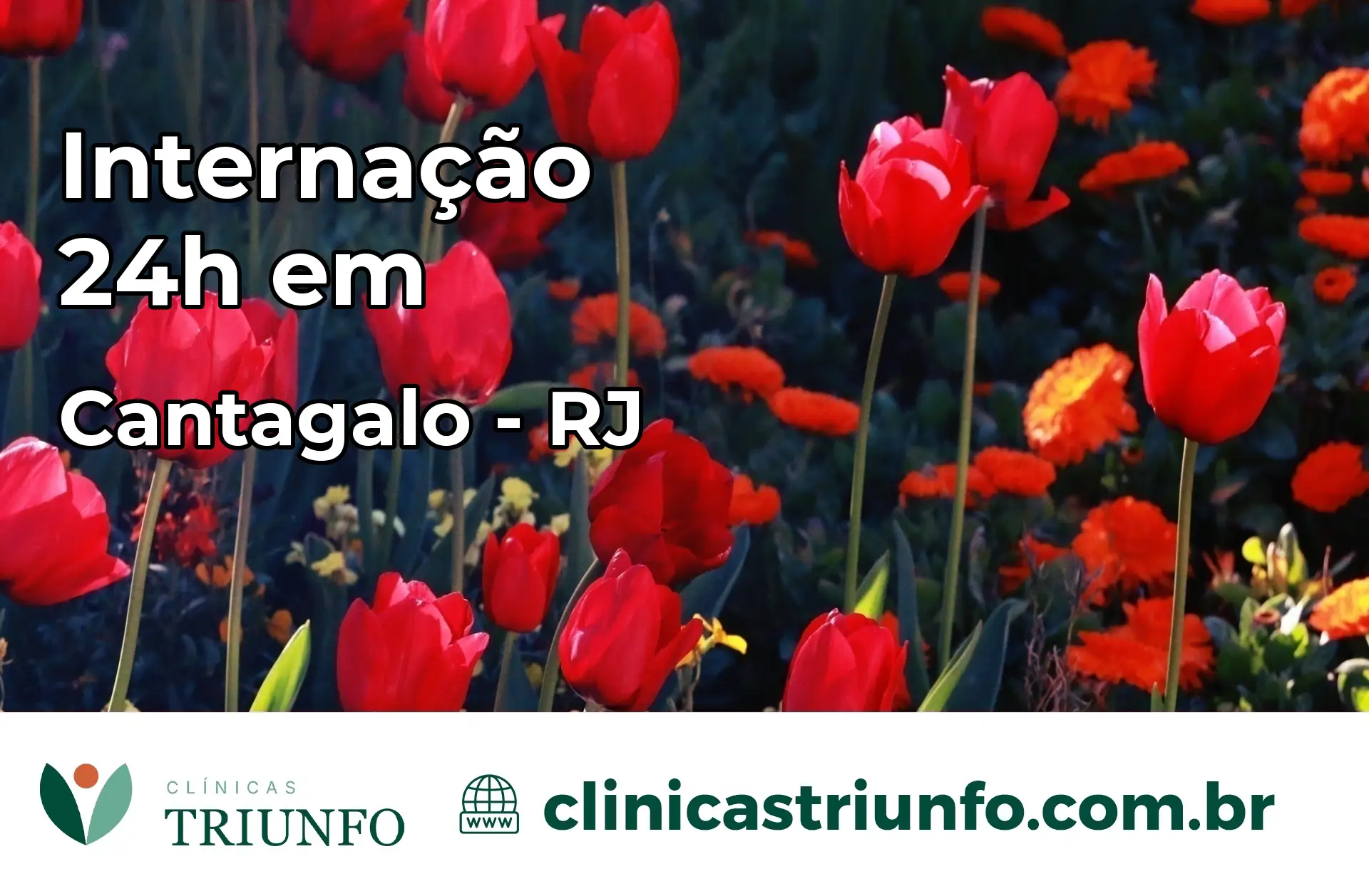 Internação 24 horas em Cantagalo – RJ