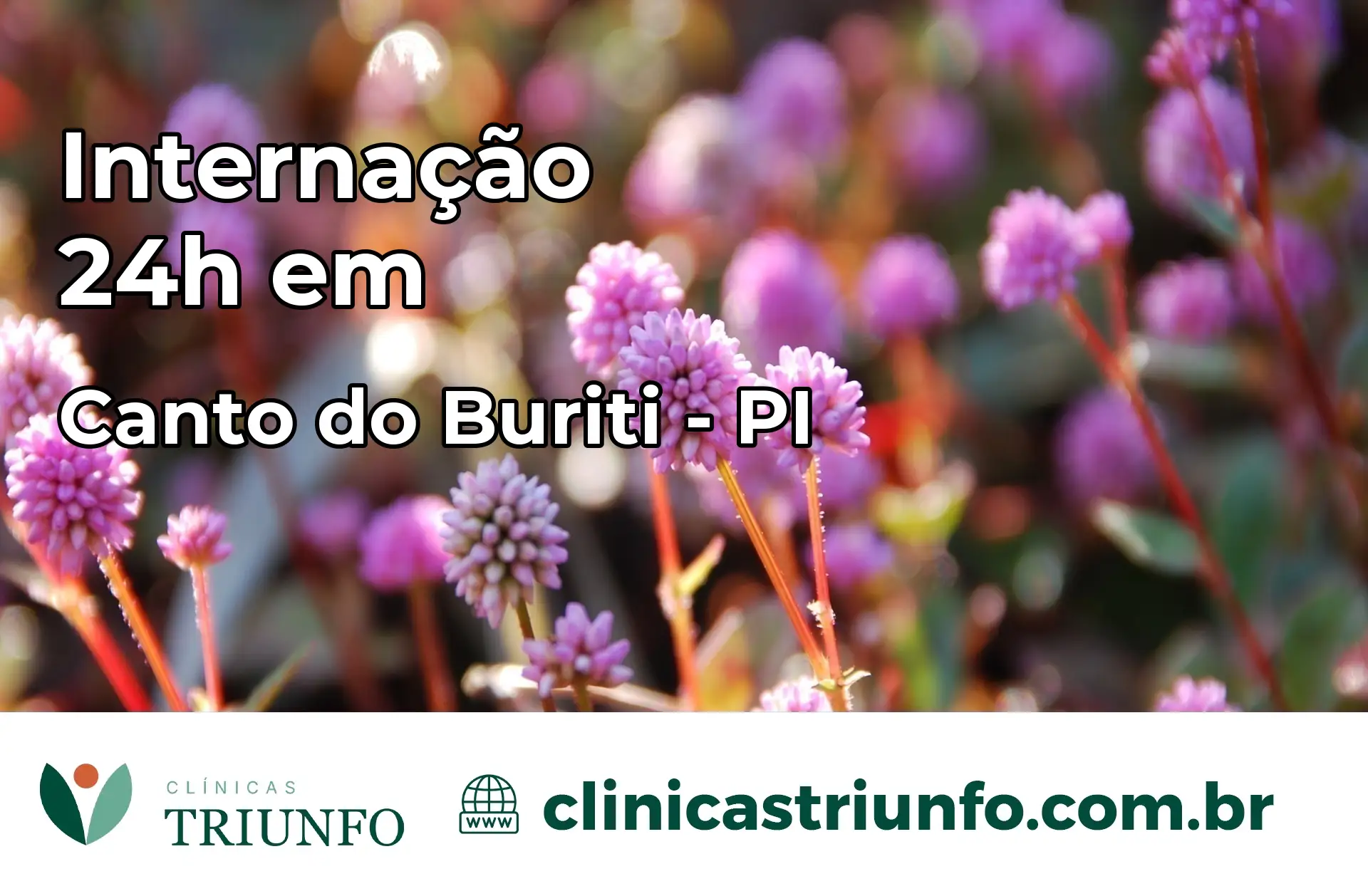 Internação 24 horas em Canto do Buriti – PI