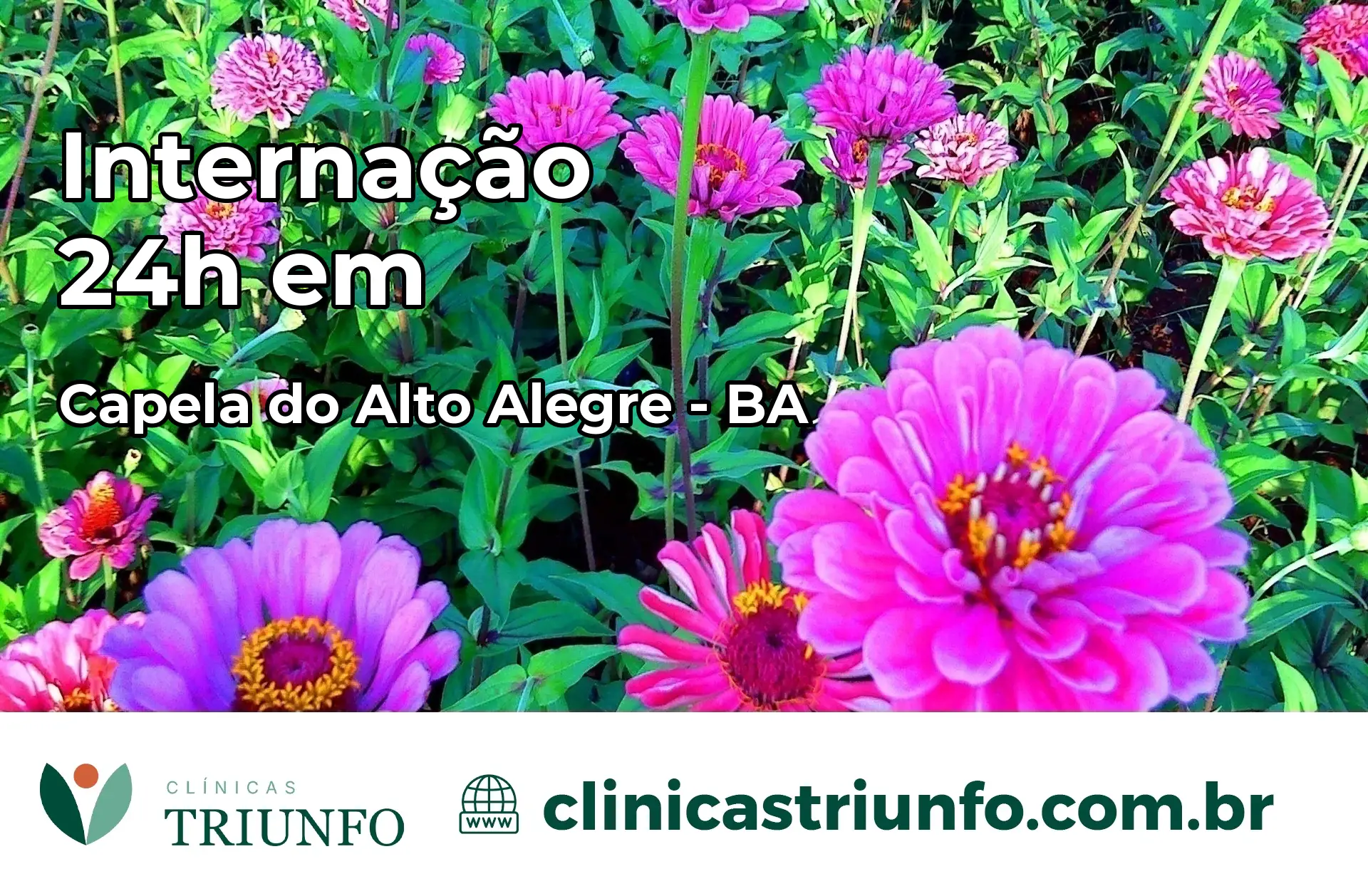 Internação 24 horas em Capela do Alto Alegre – BA