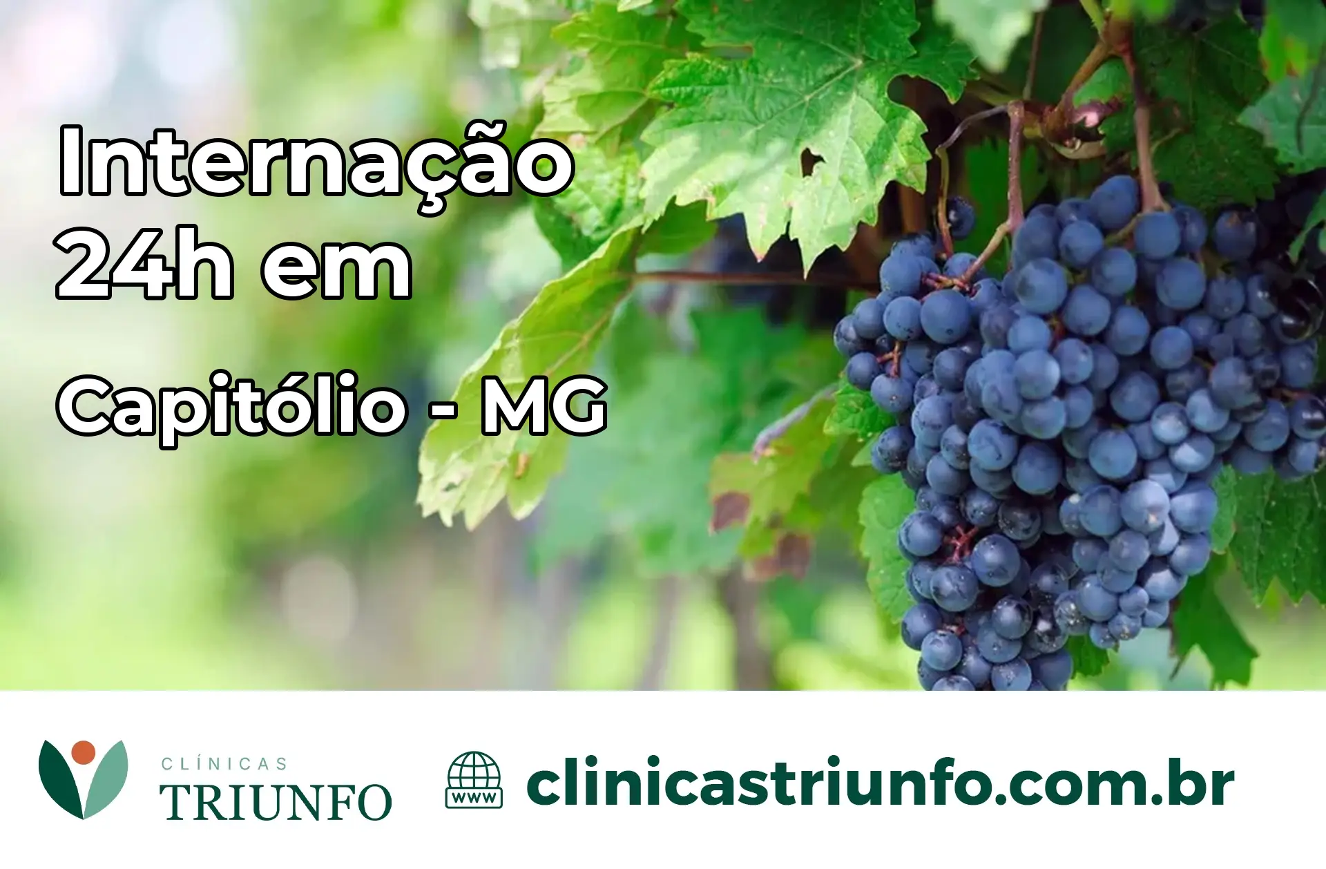 Internação 24 horas em Capitólio – MG