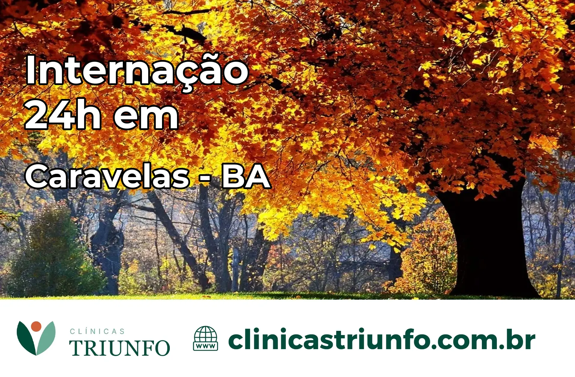 Internação 24 horas em Caravelas – BA