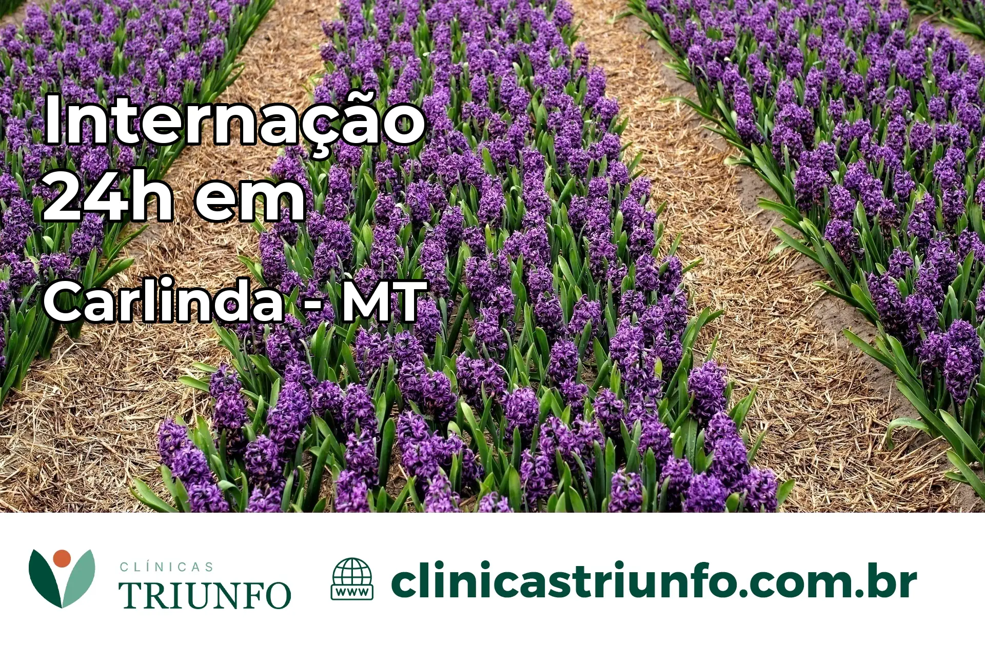 Internação 24 horas em Carlinda – MT