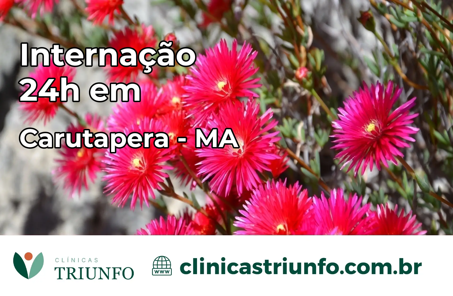 Internação 24 horas em Carutapera – MA