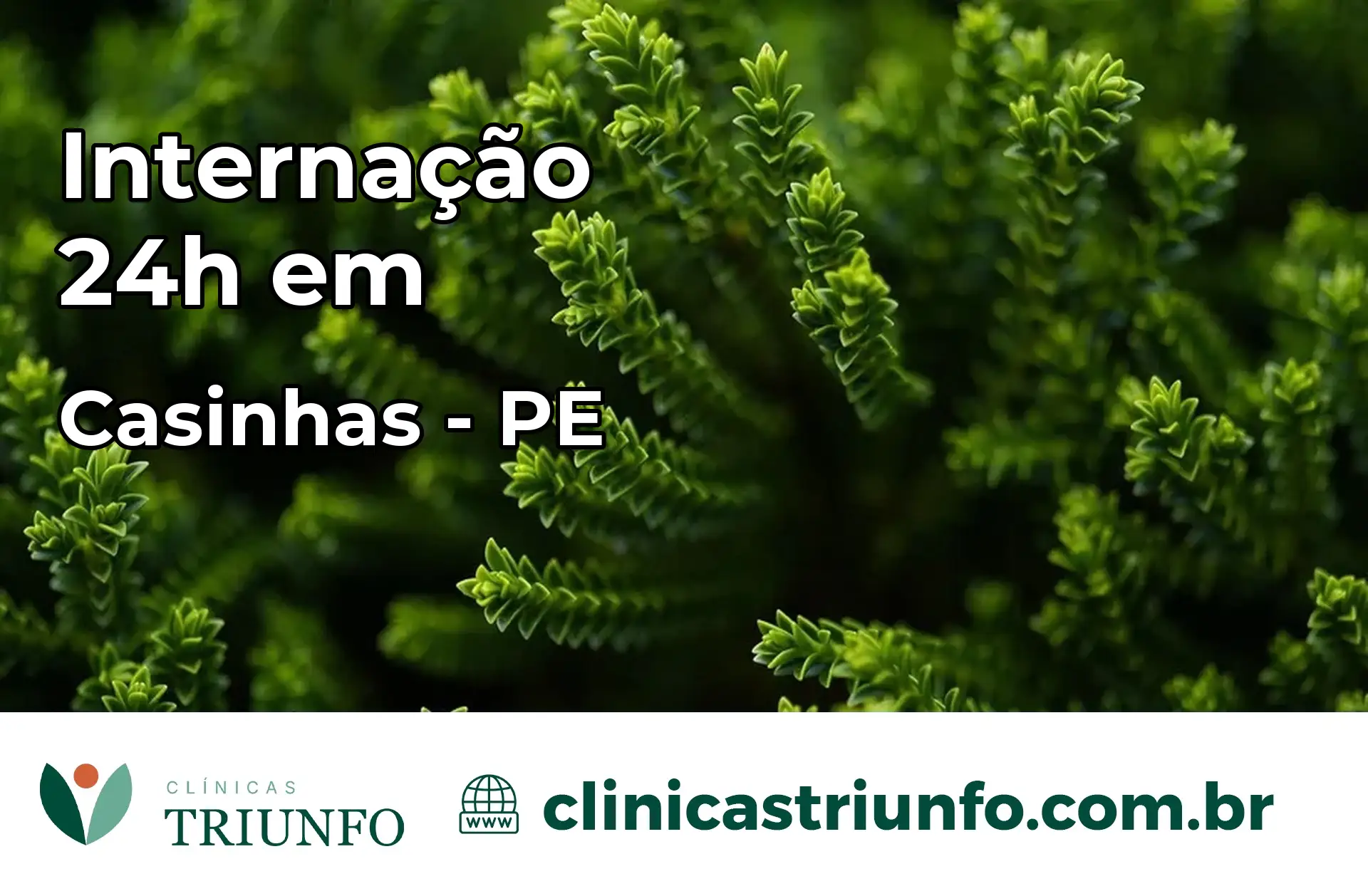 Internação 24 horas em Casinhas – PE