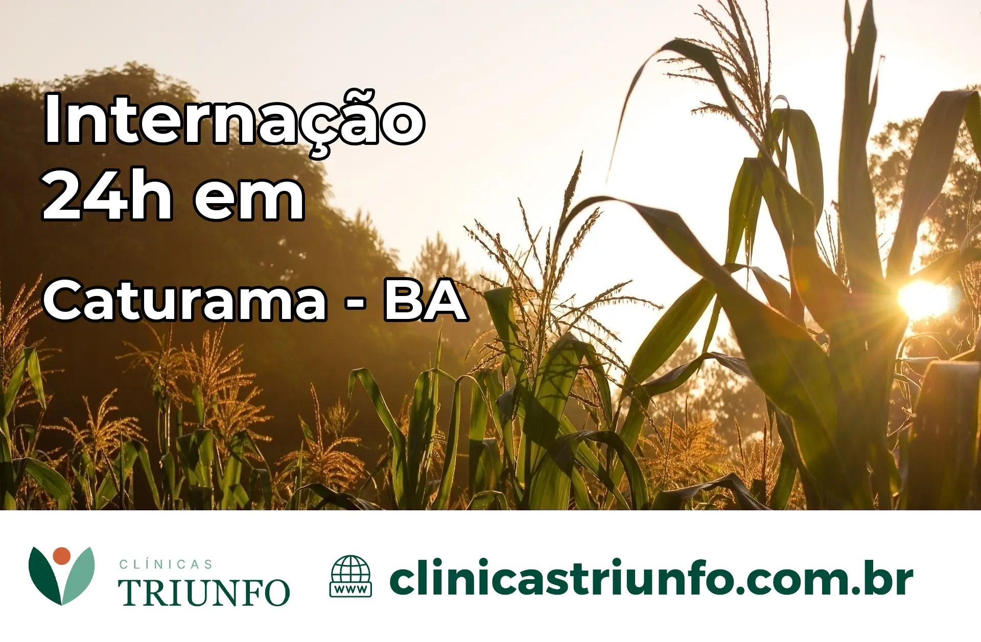 Internação 24 horas em Caturama – BA
