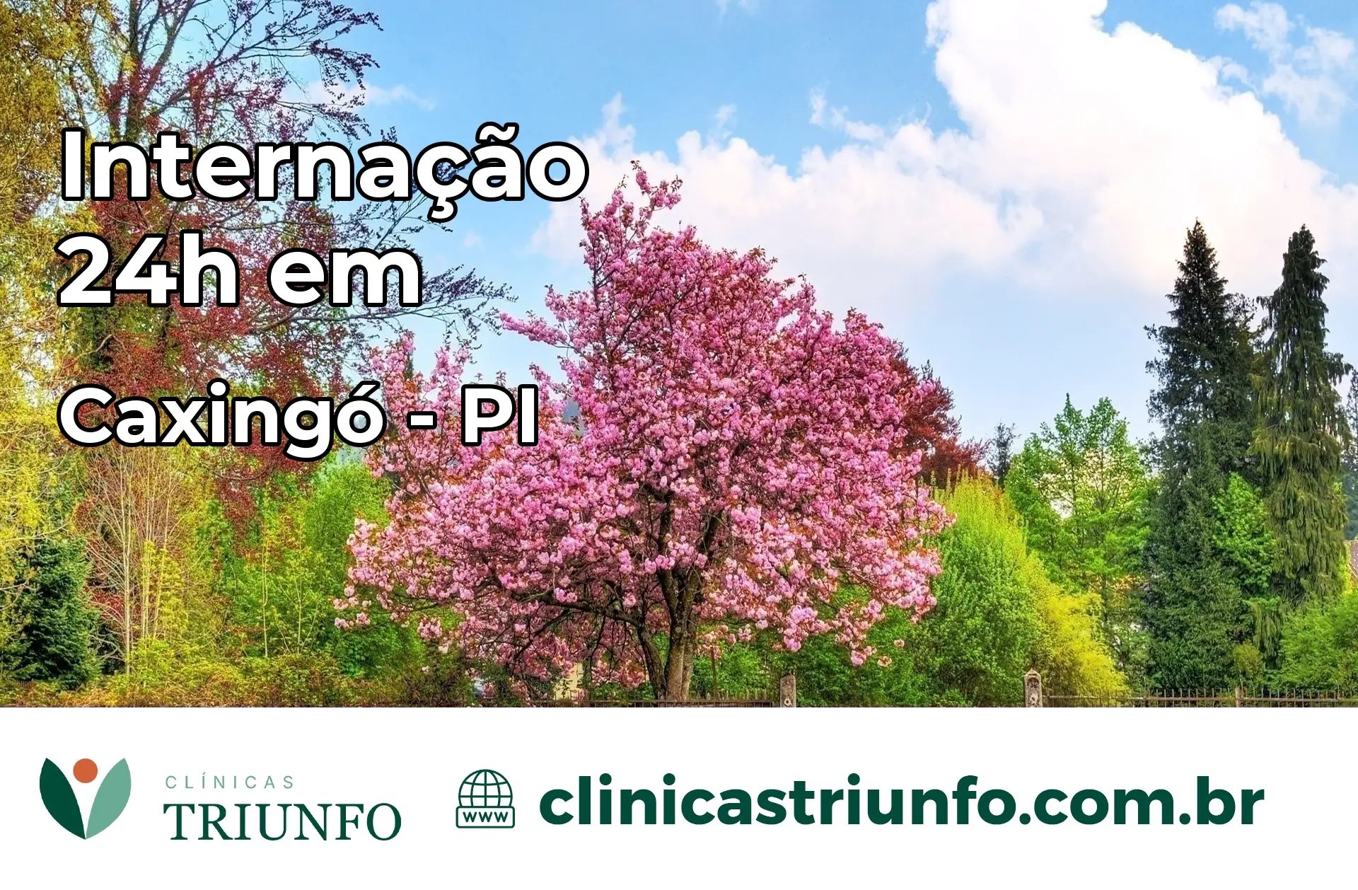 Internação 24 horas em Caxingó – PI