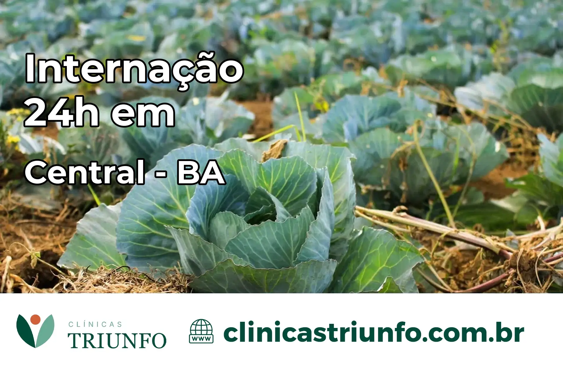 Internação 24 horas em Central – BA