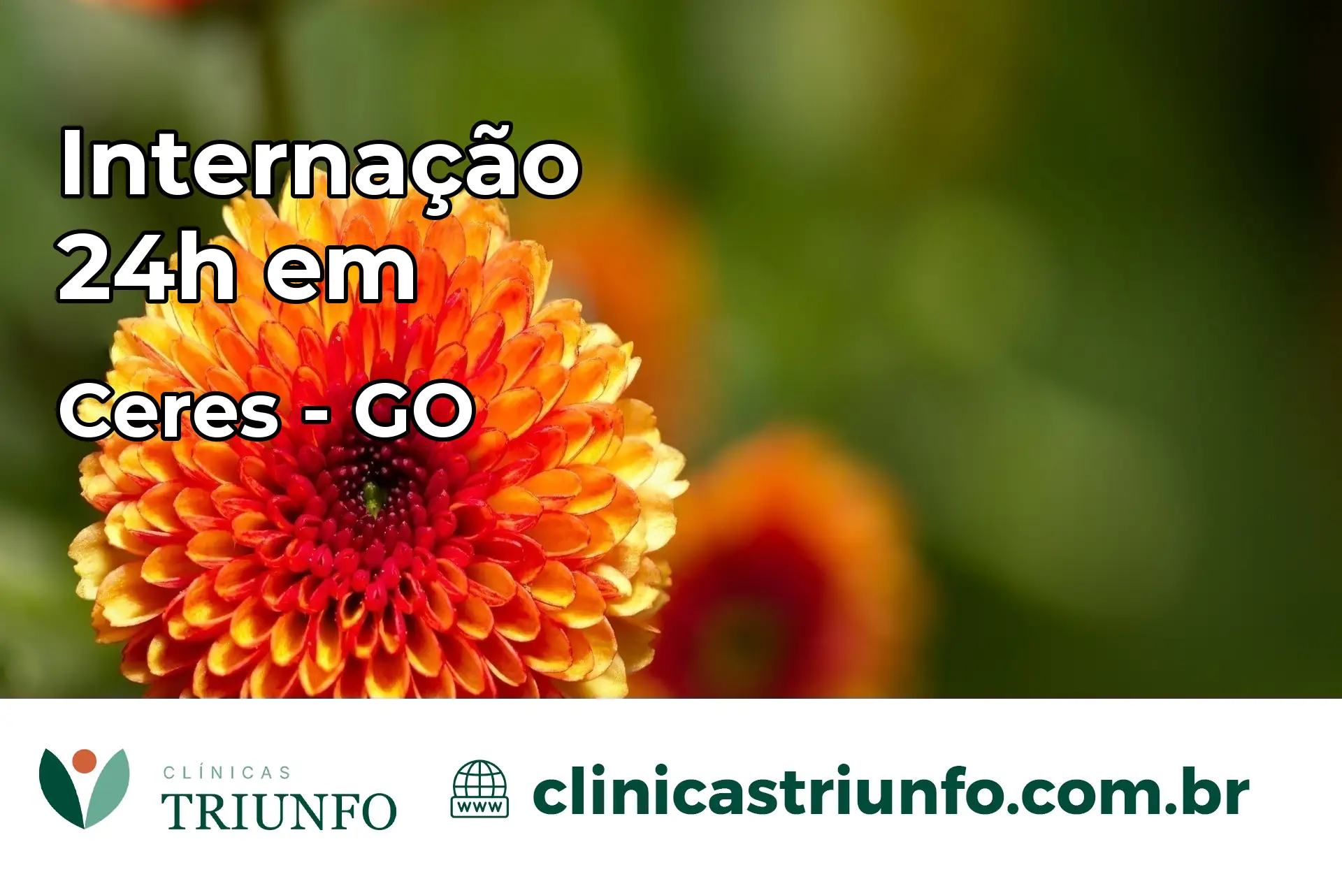 Internação 24 horas em Ceres – GO