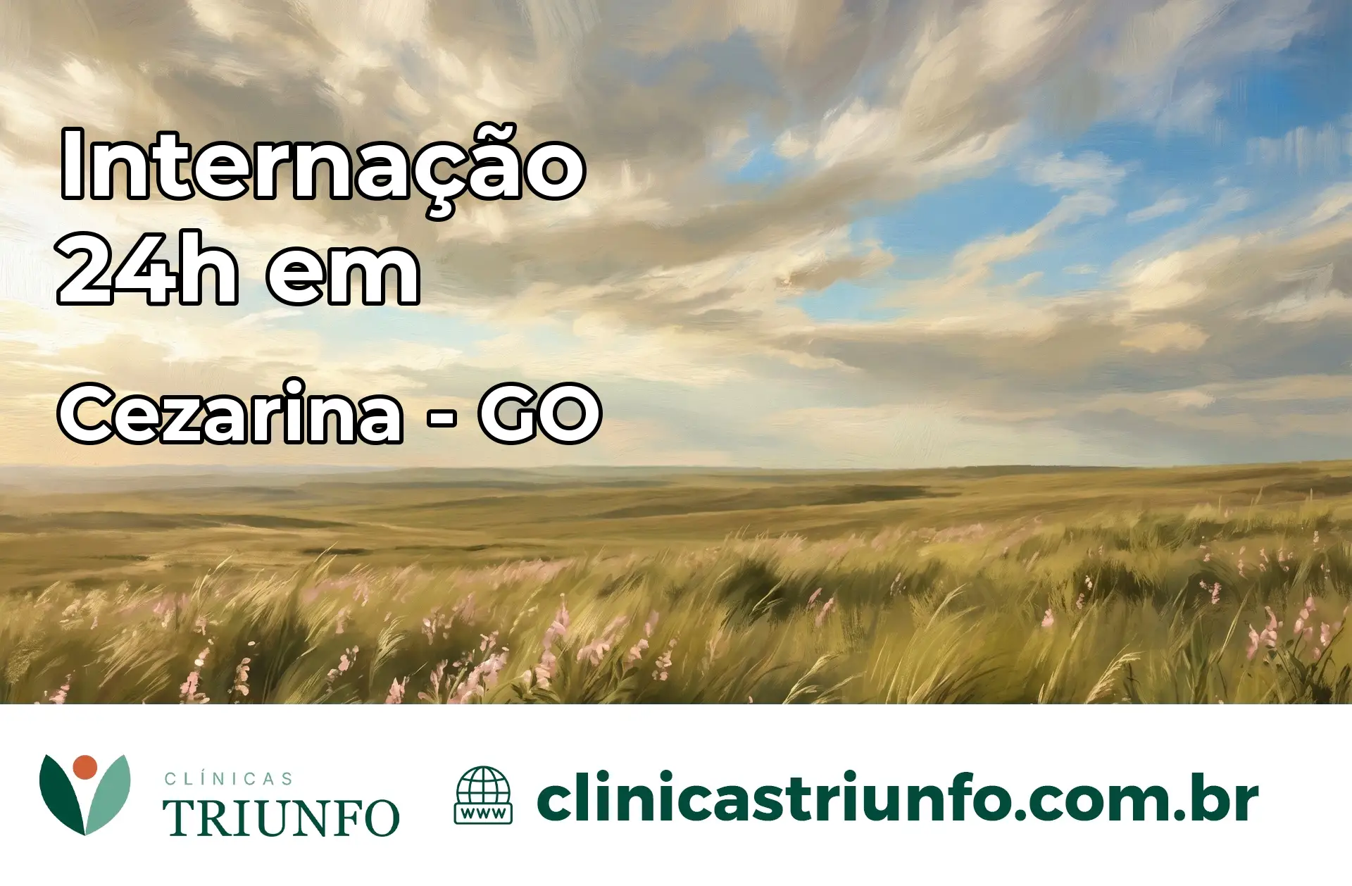 Internação 24 horas em Cezarina – GO