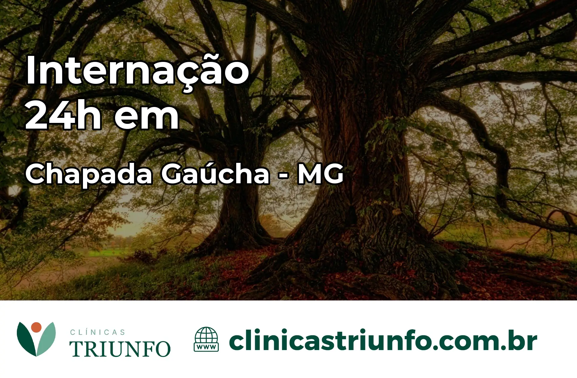 Internação 24 horas em Chapada Gaúcha – MG