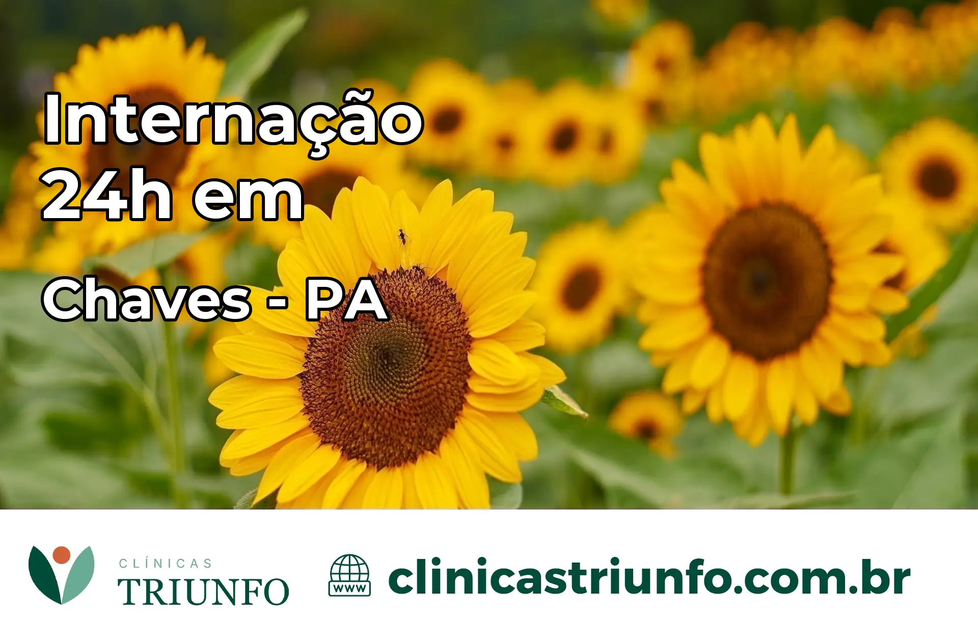 Internação 24 horas em Chaves – PA