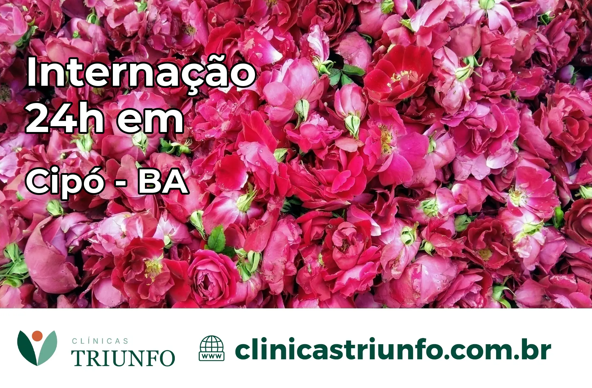 Internação 24 horas em Cipó – BA