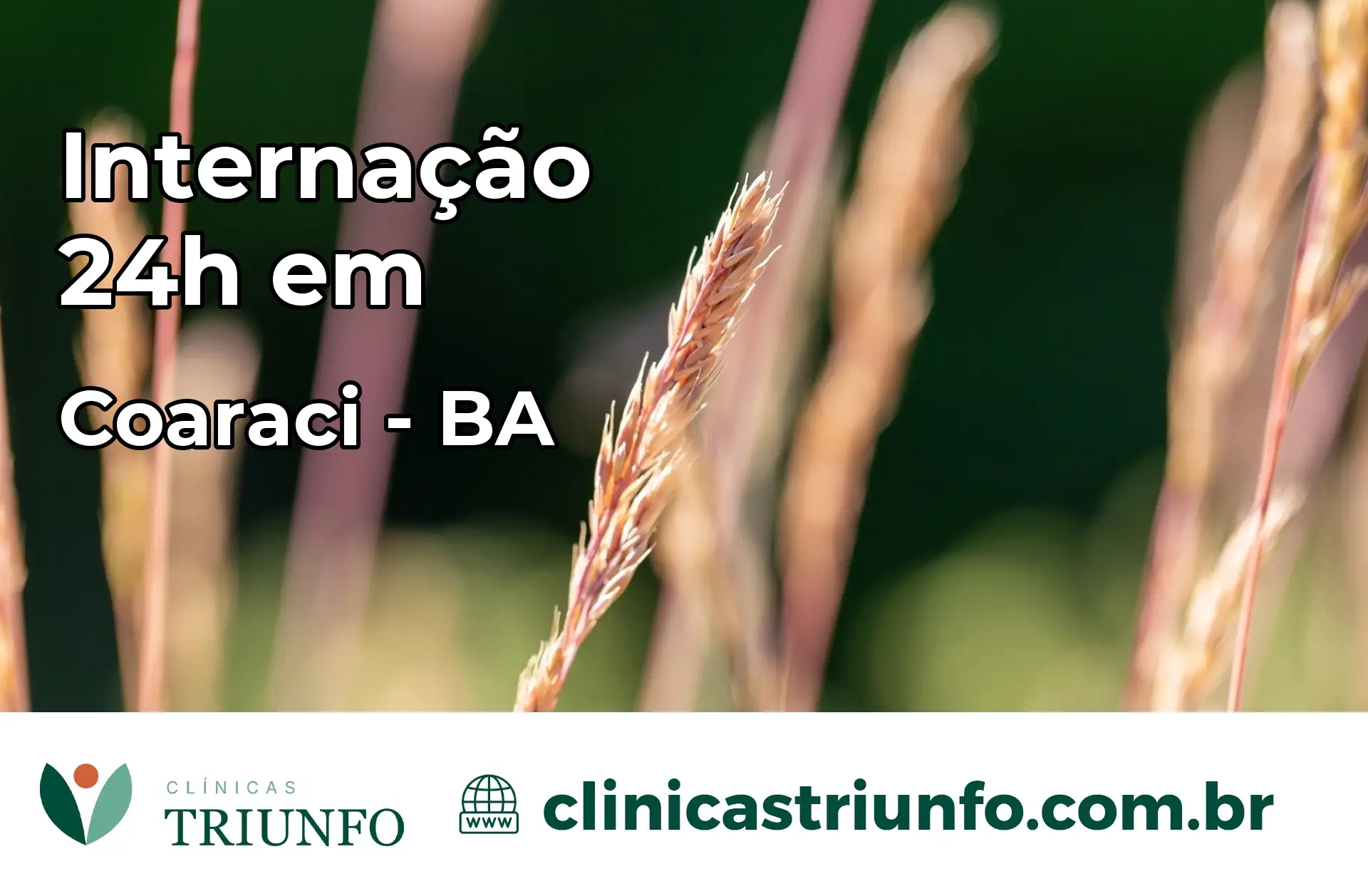 Internação 24 horas em Coaraci – BA