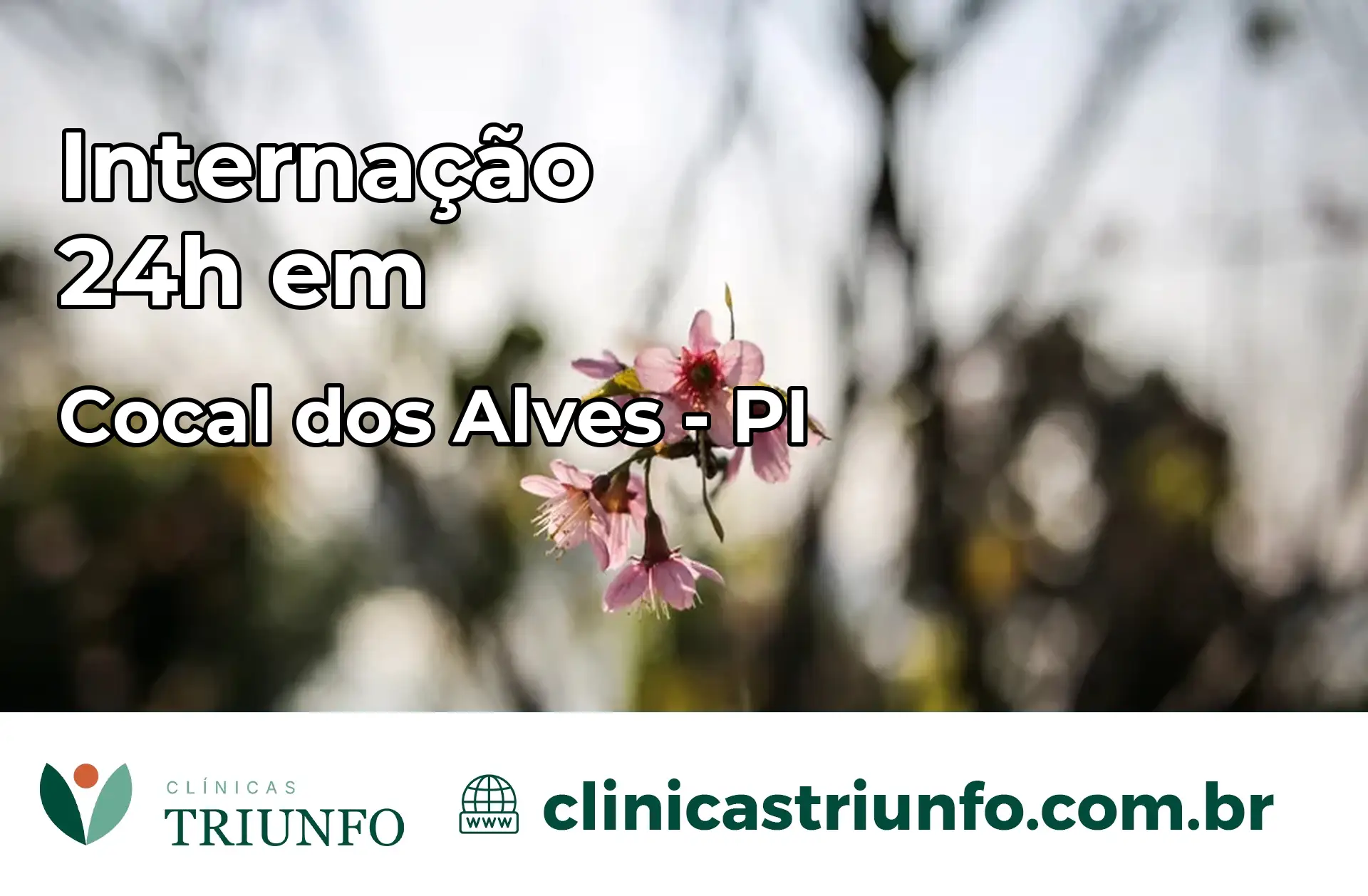 Internação 24 horas em Cocal dos Alves – PI