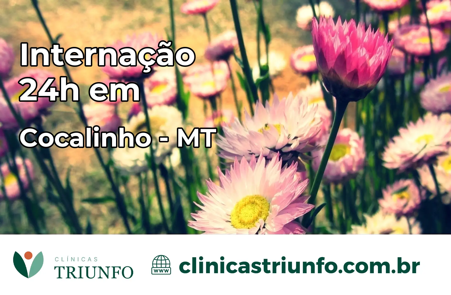 Internação 24 horas em Cocalinho – MT