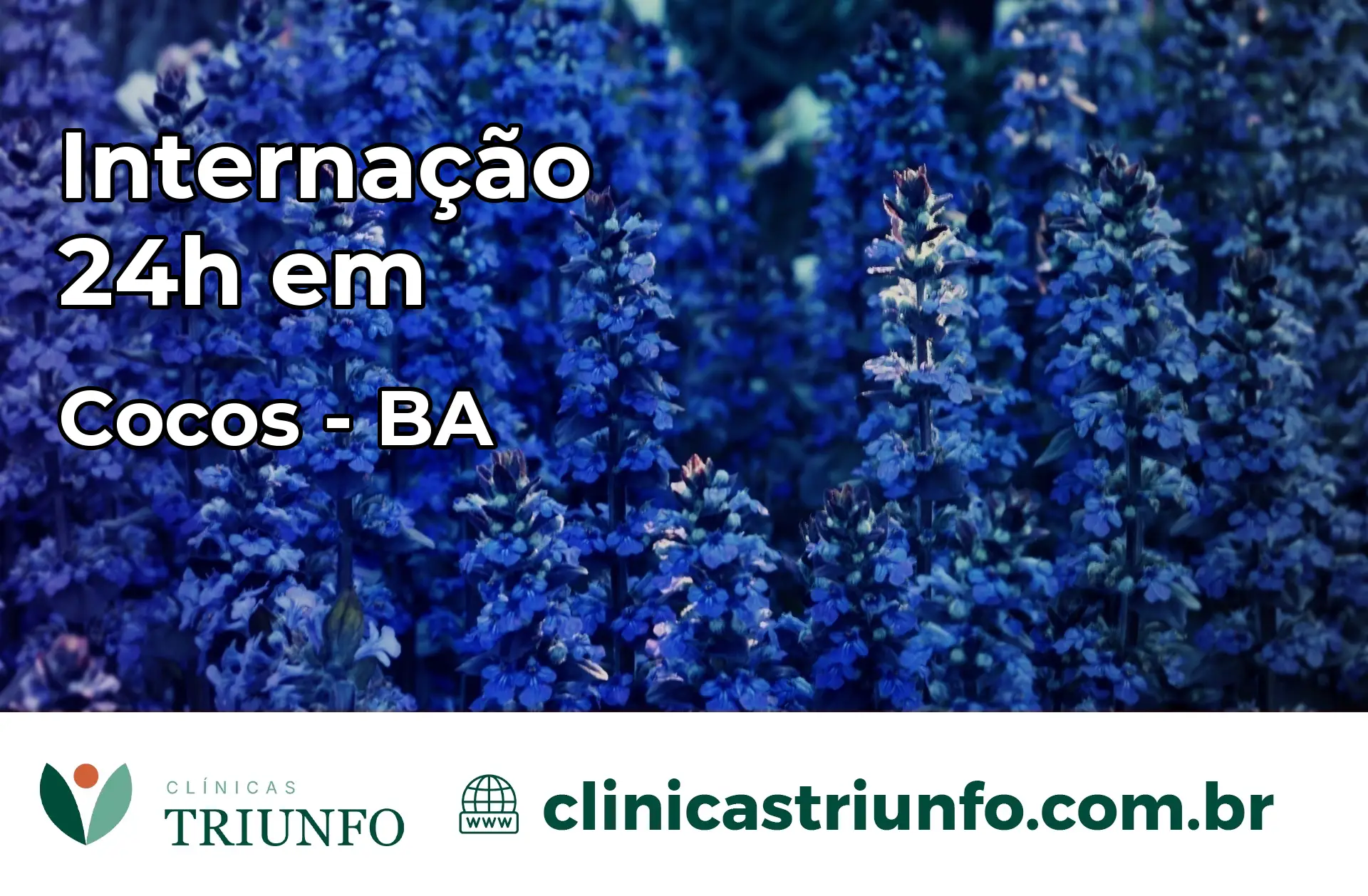 Internação 24 horas em Cocos – BA