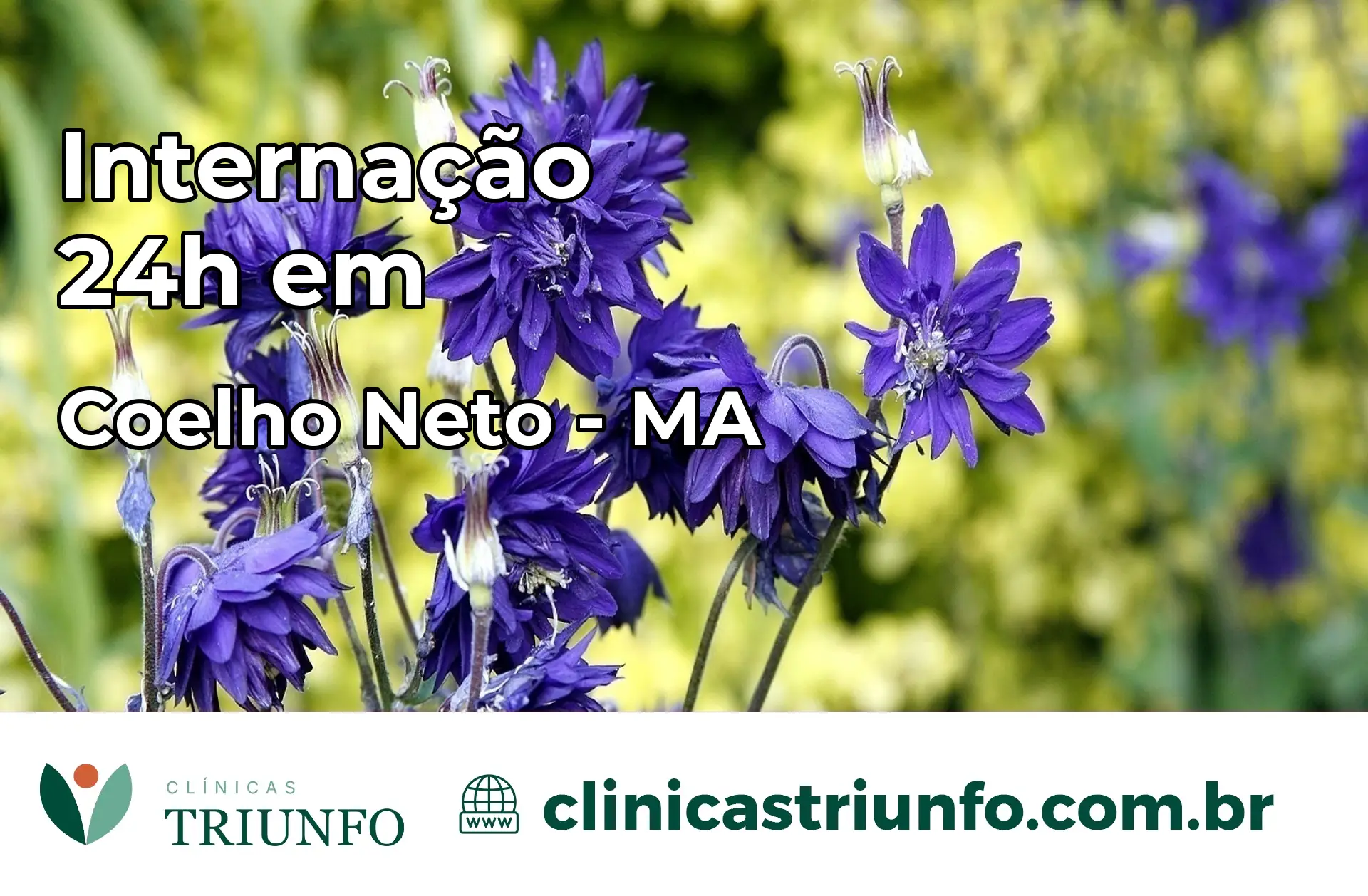 Internação 24 horas em Coelho Neto – MA