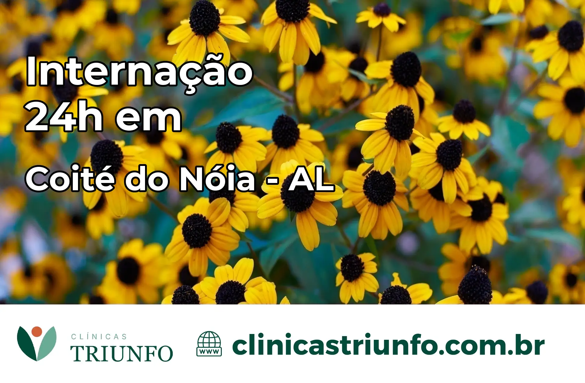 Internação 24 horas em Coité do Nóia – AL