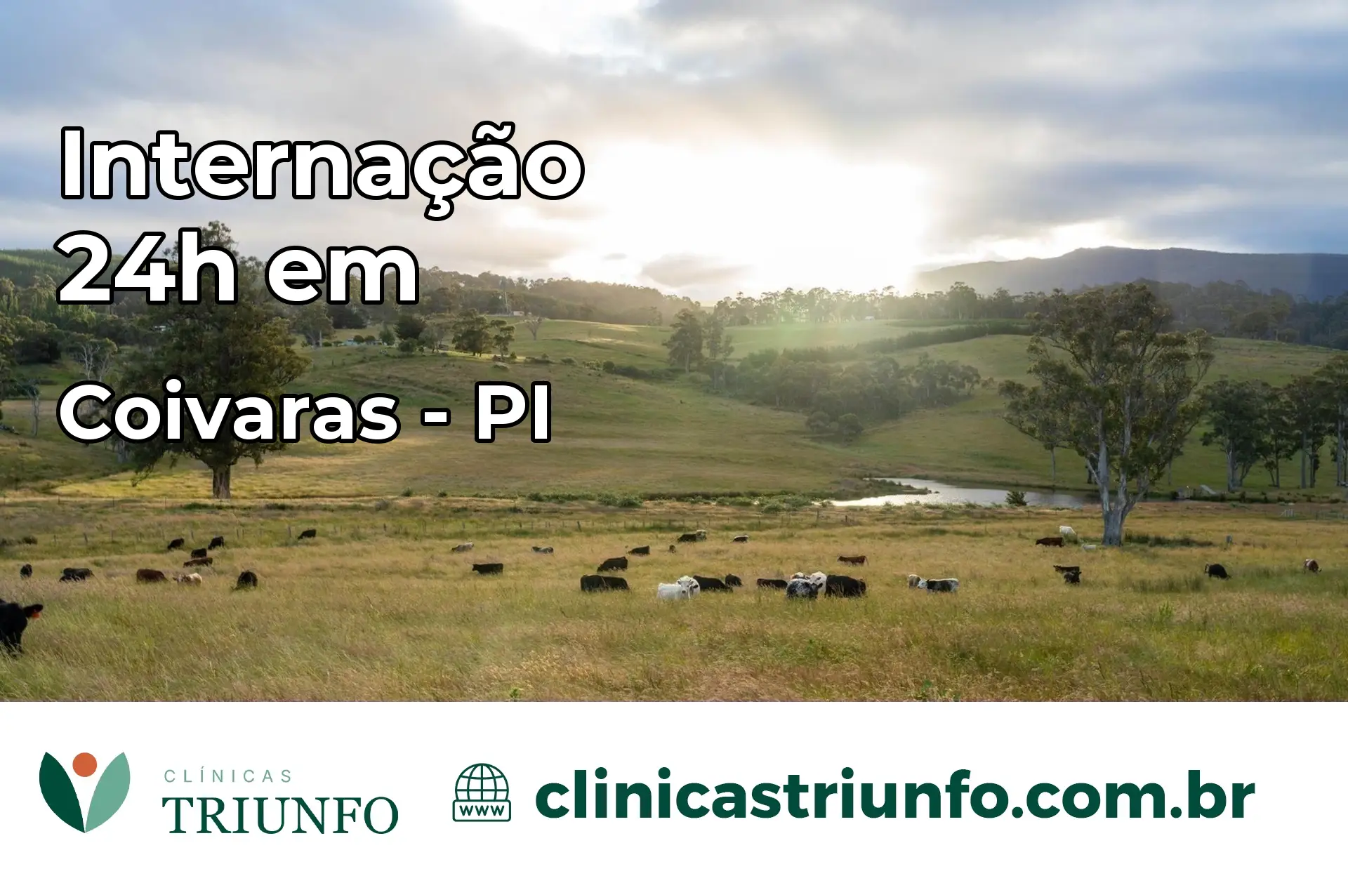 Internação 24 horas em Coivaras – PI