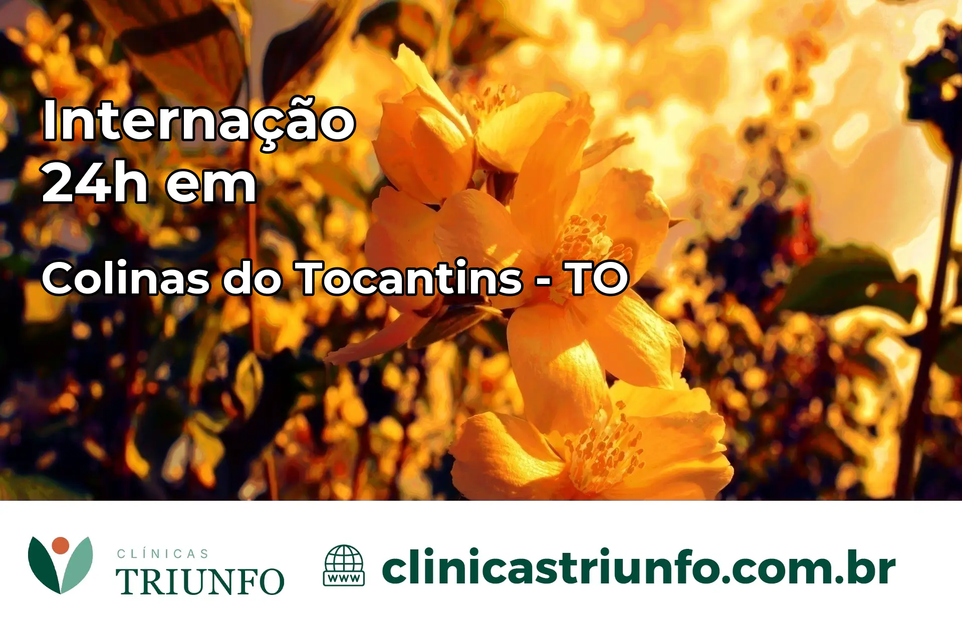 Internação 24 horas em Colinas do Tocantins – TO