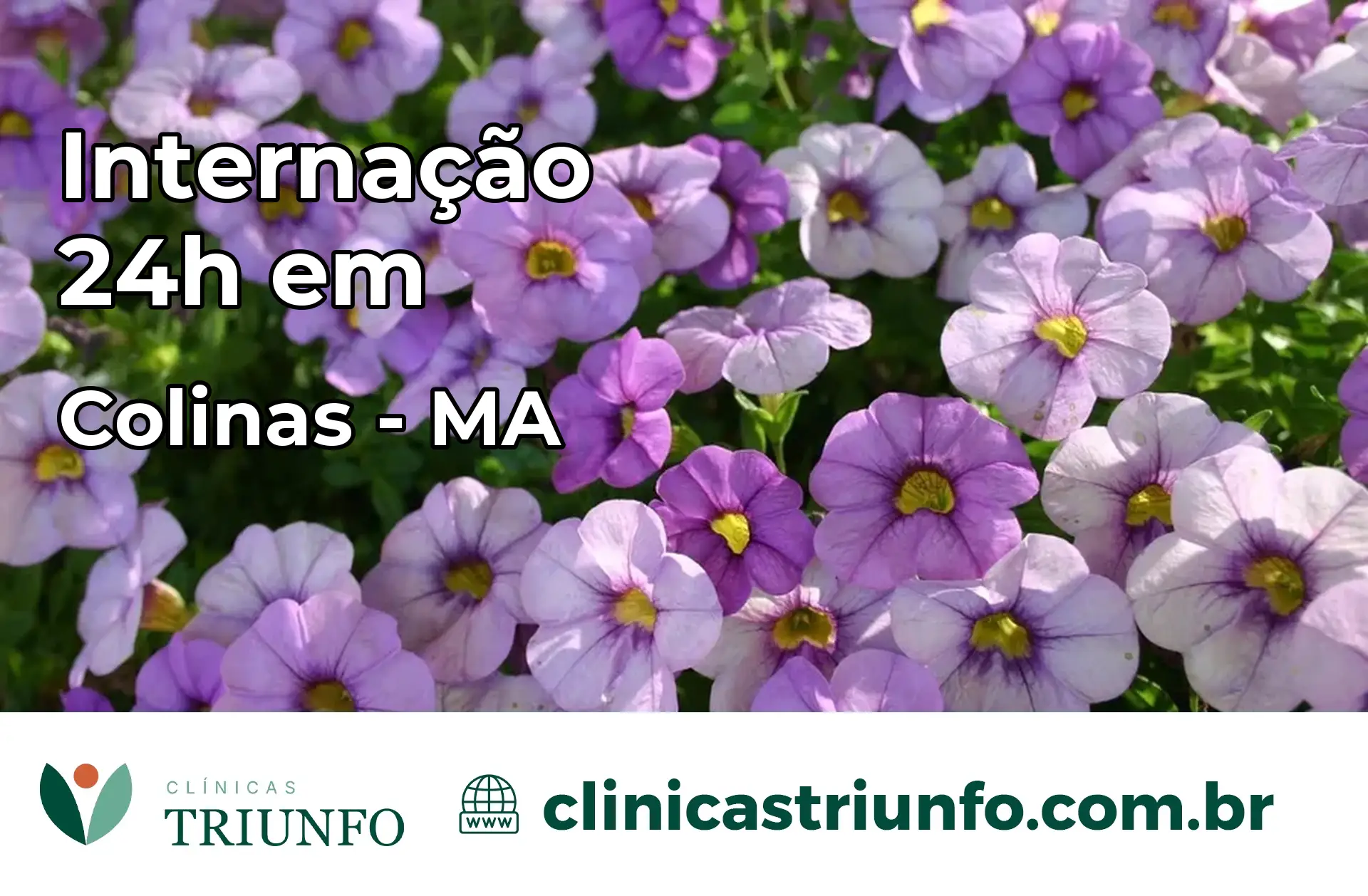 Internação 24 horas em Colinas – MA