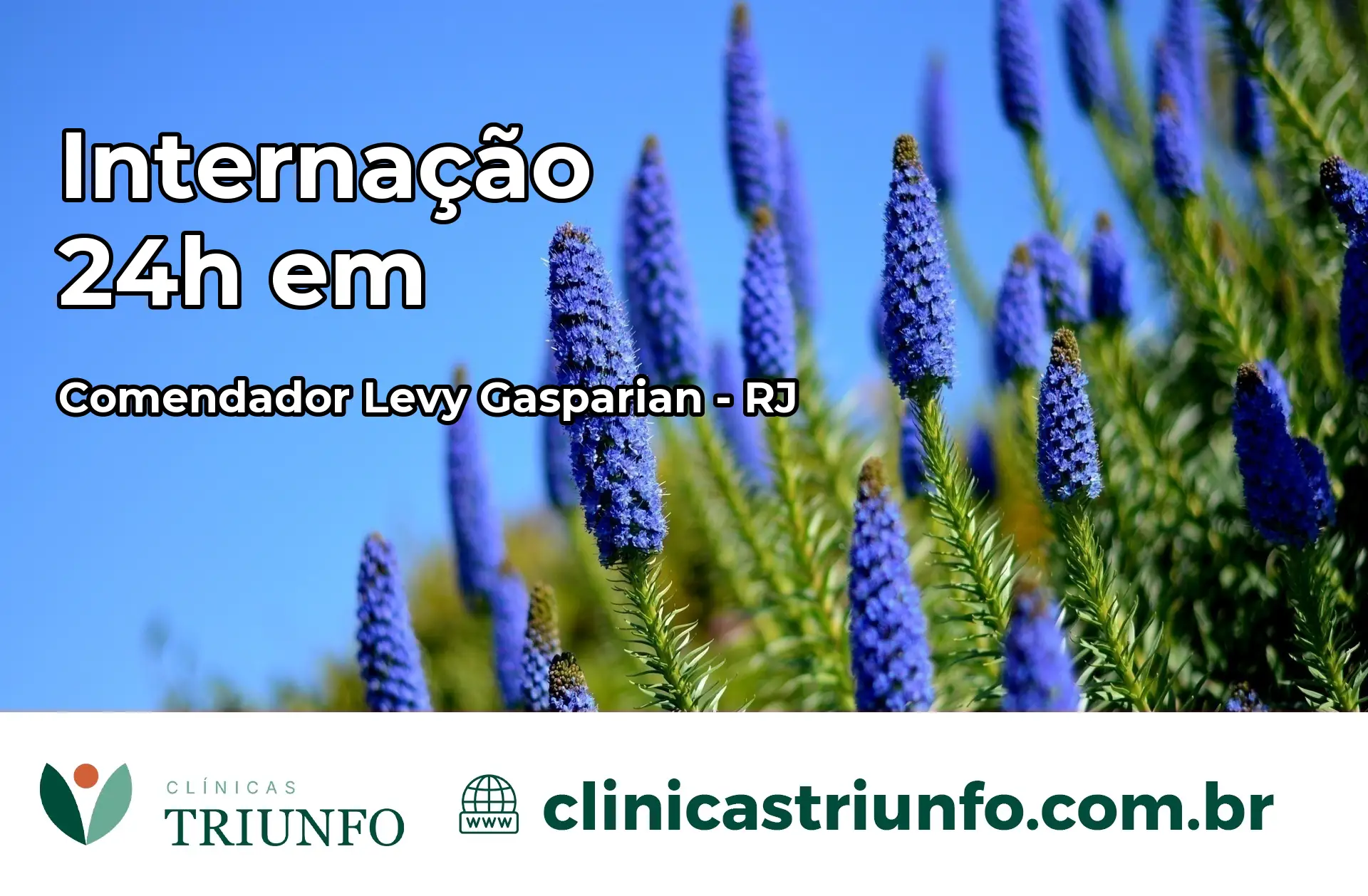 Internação 24 horas em Comendador Levy Gasparian – RJ