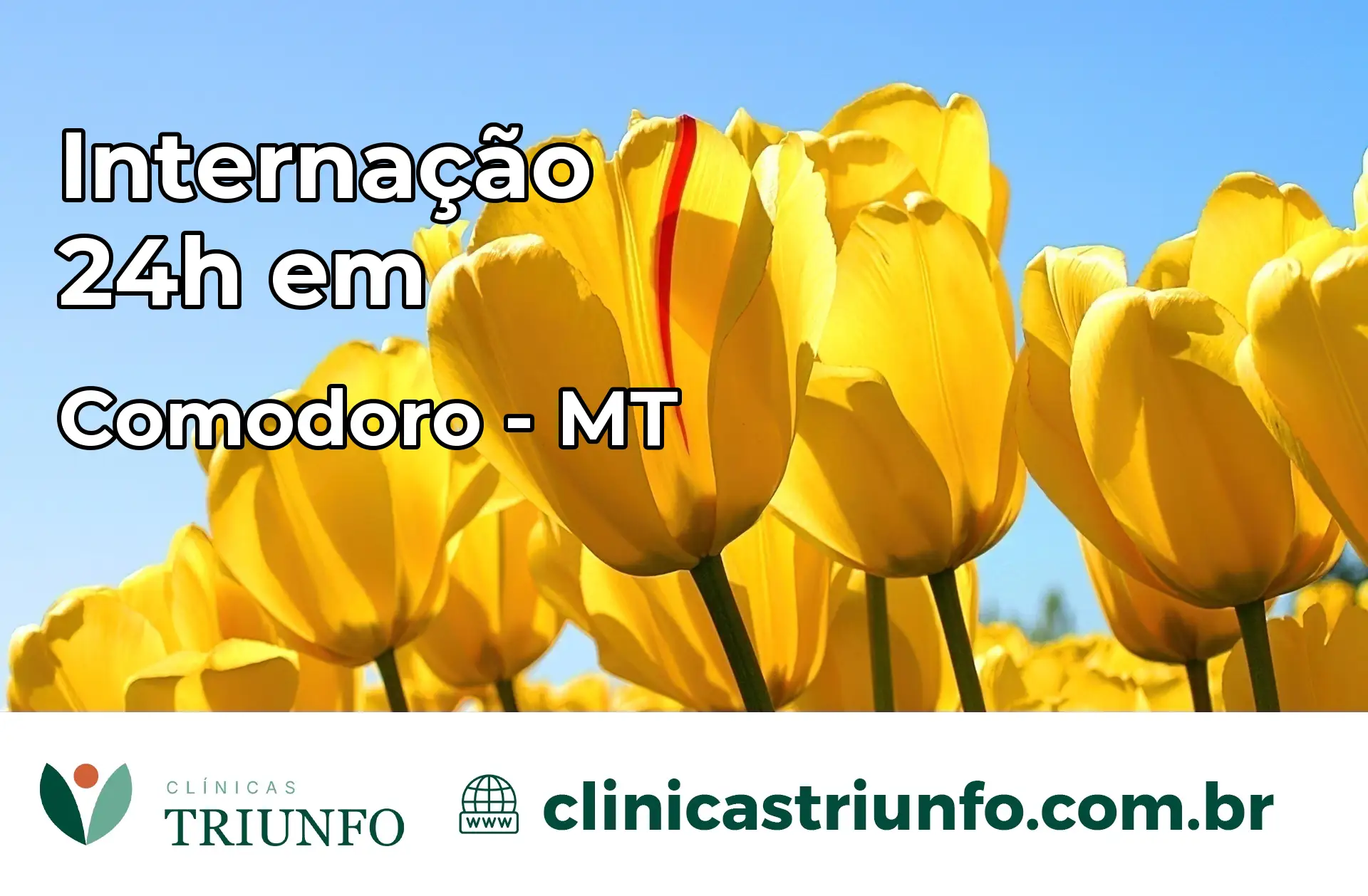 Internação 24 horas em Comodoro – MT