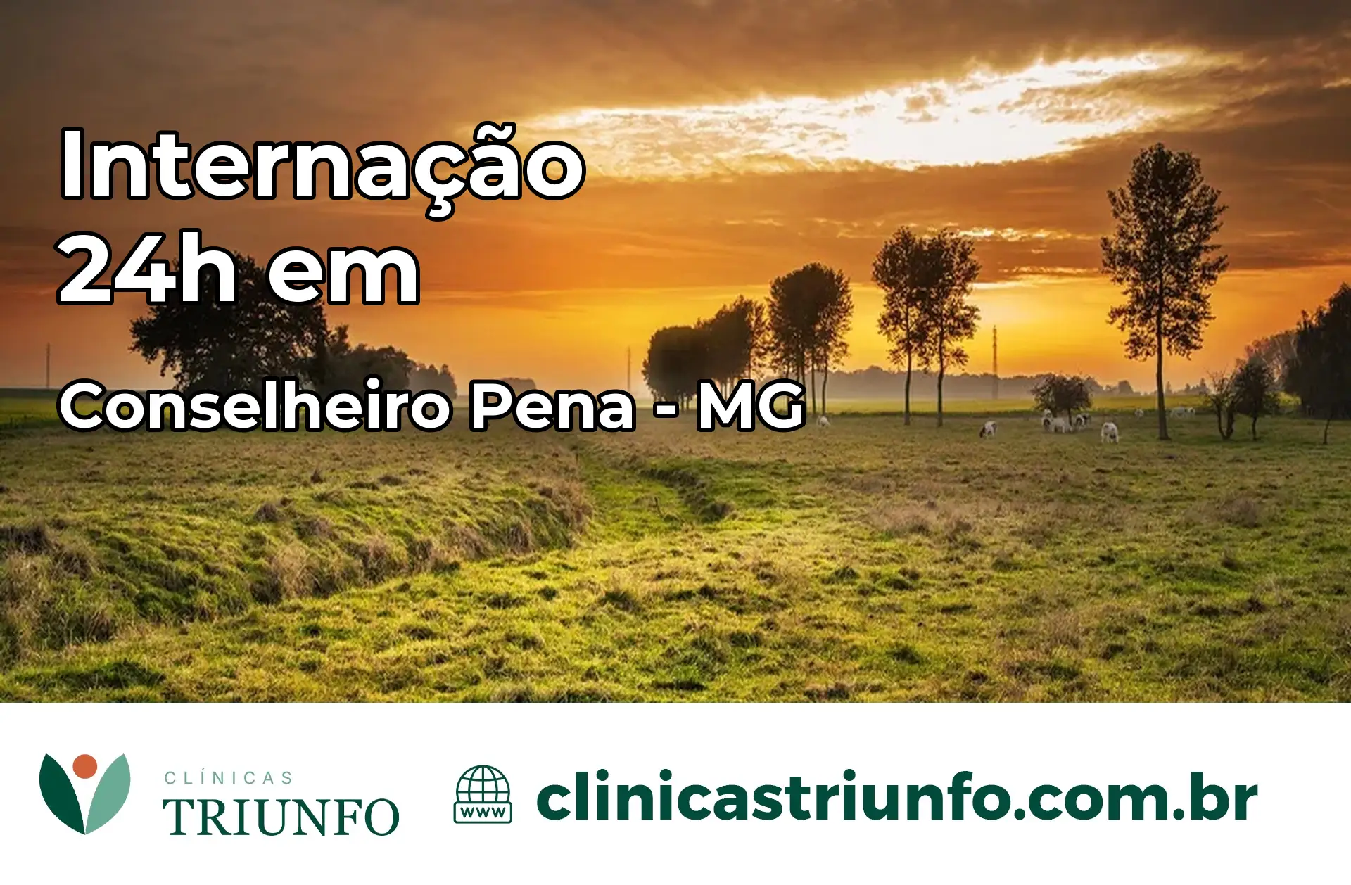Internação 24 horas em Conselheiro Pena – MG