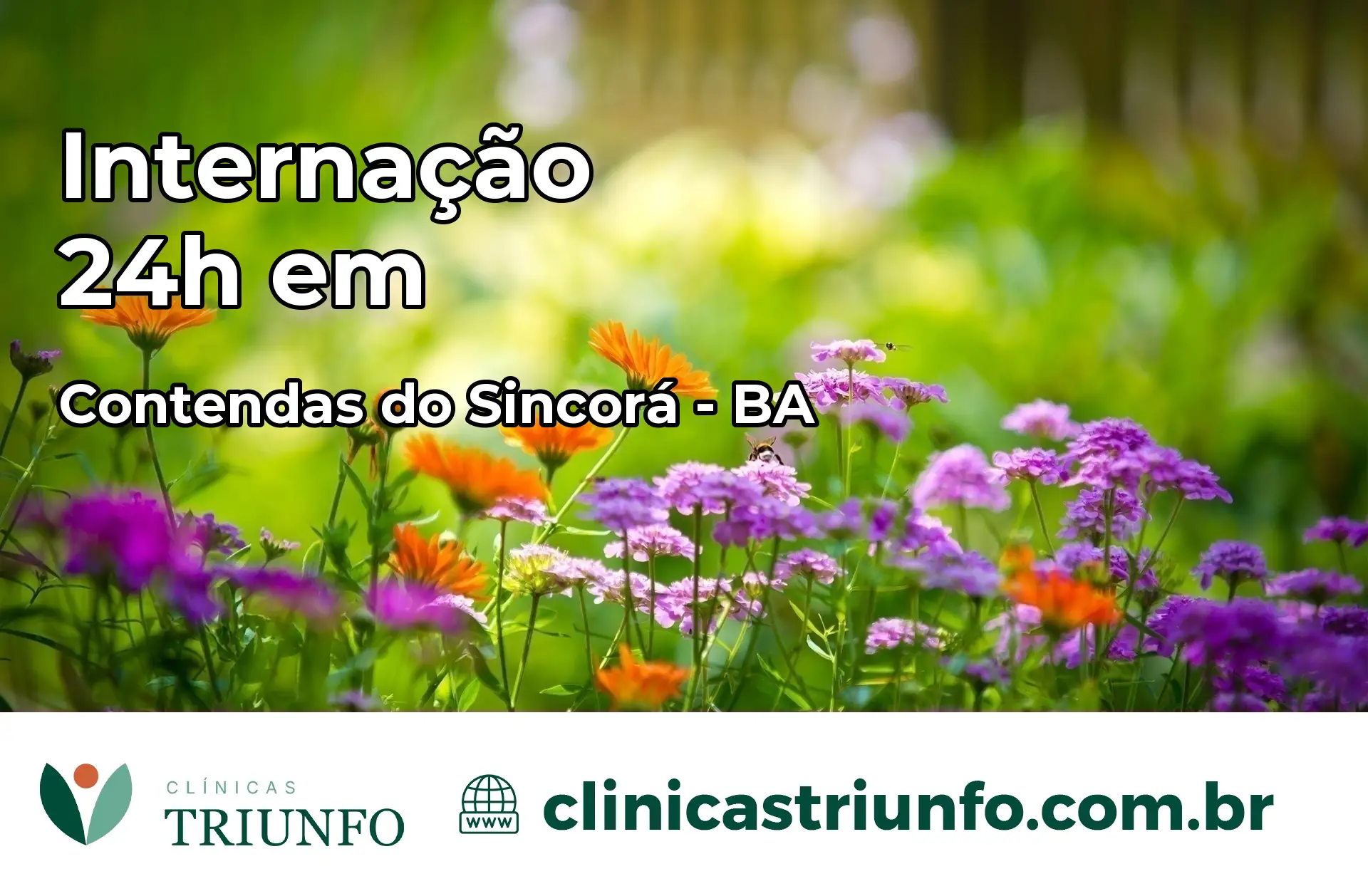 Internação 24 horas em Contendas do Sincorá – BA