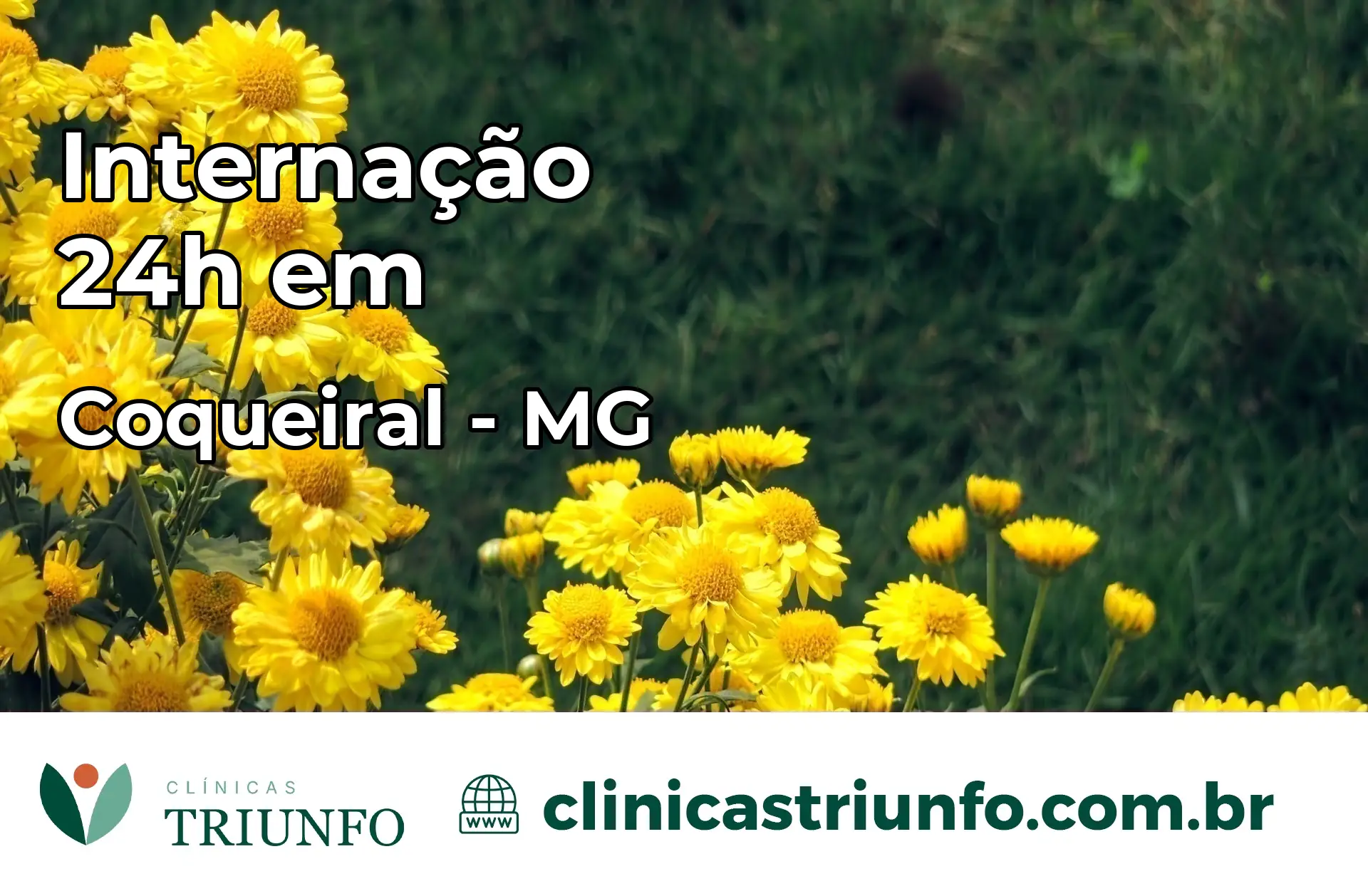 Internação 24 horas em Coqueiral – MG