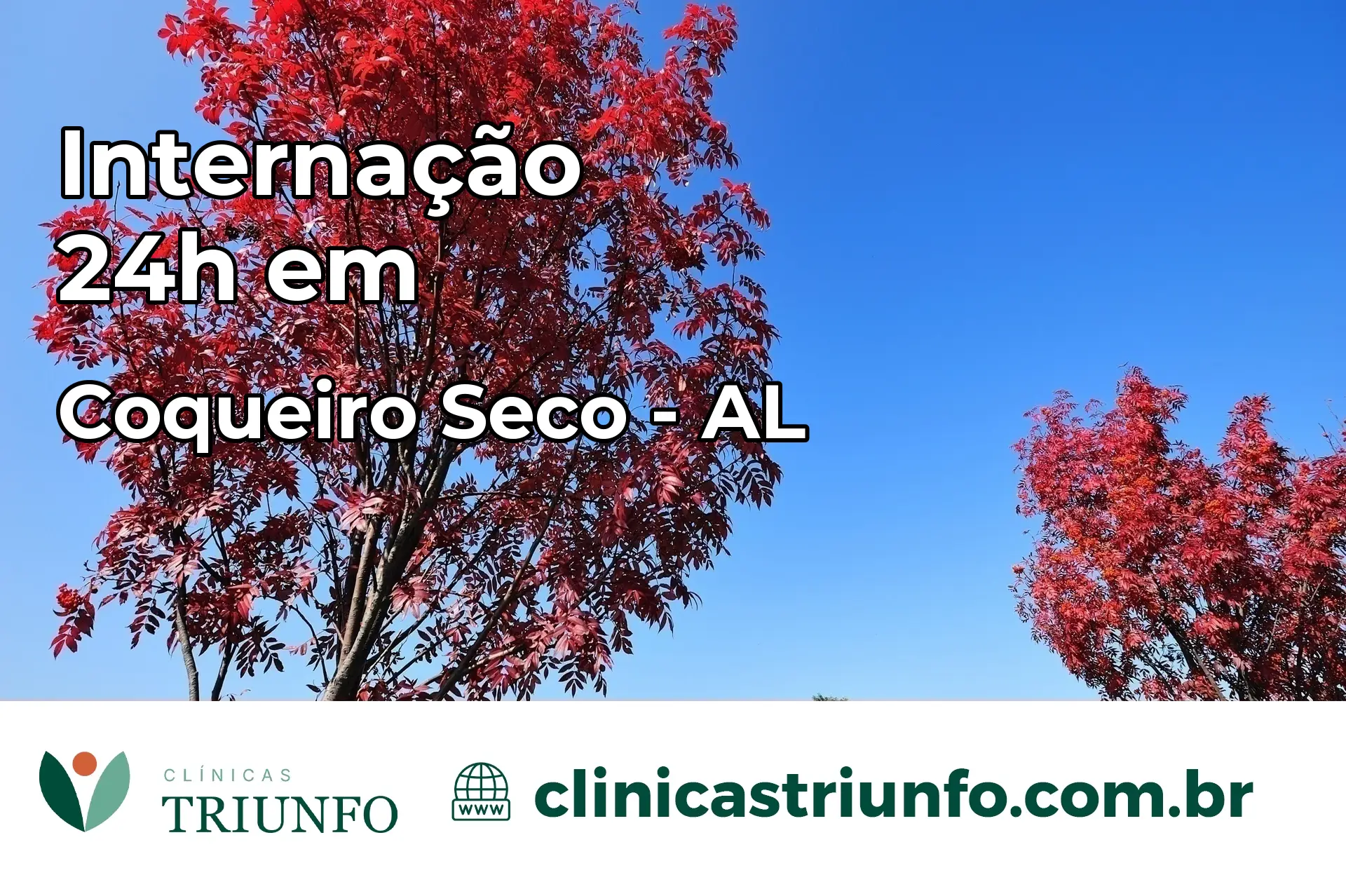 Internação 24 horas em Coqueiro Seco – AL