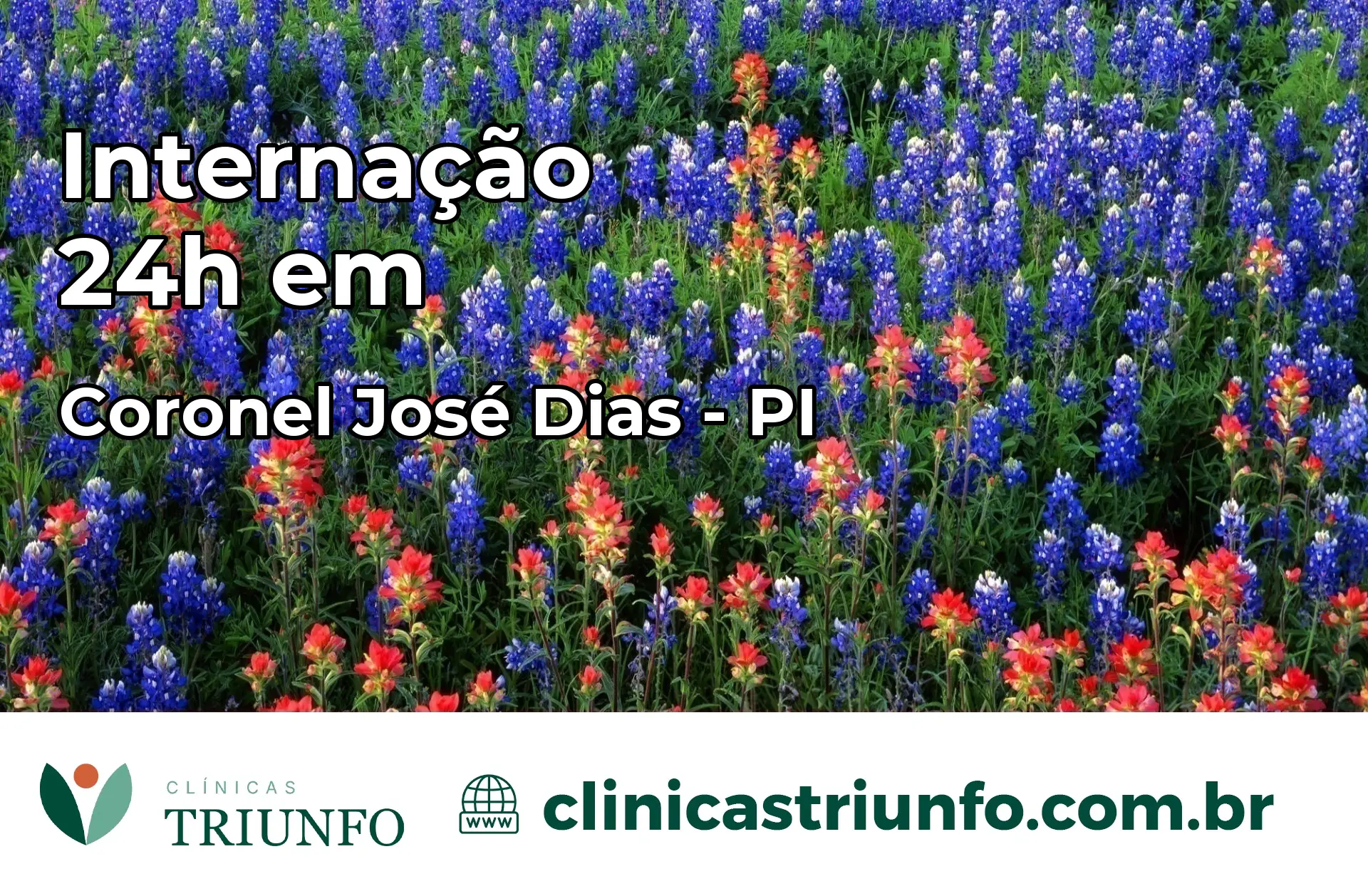Internação 24 horas em Coronel José Dias – PI